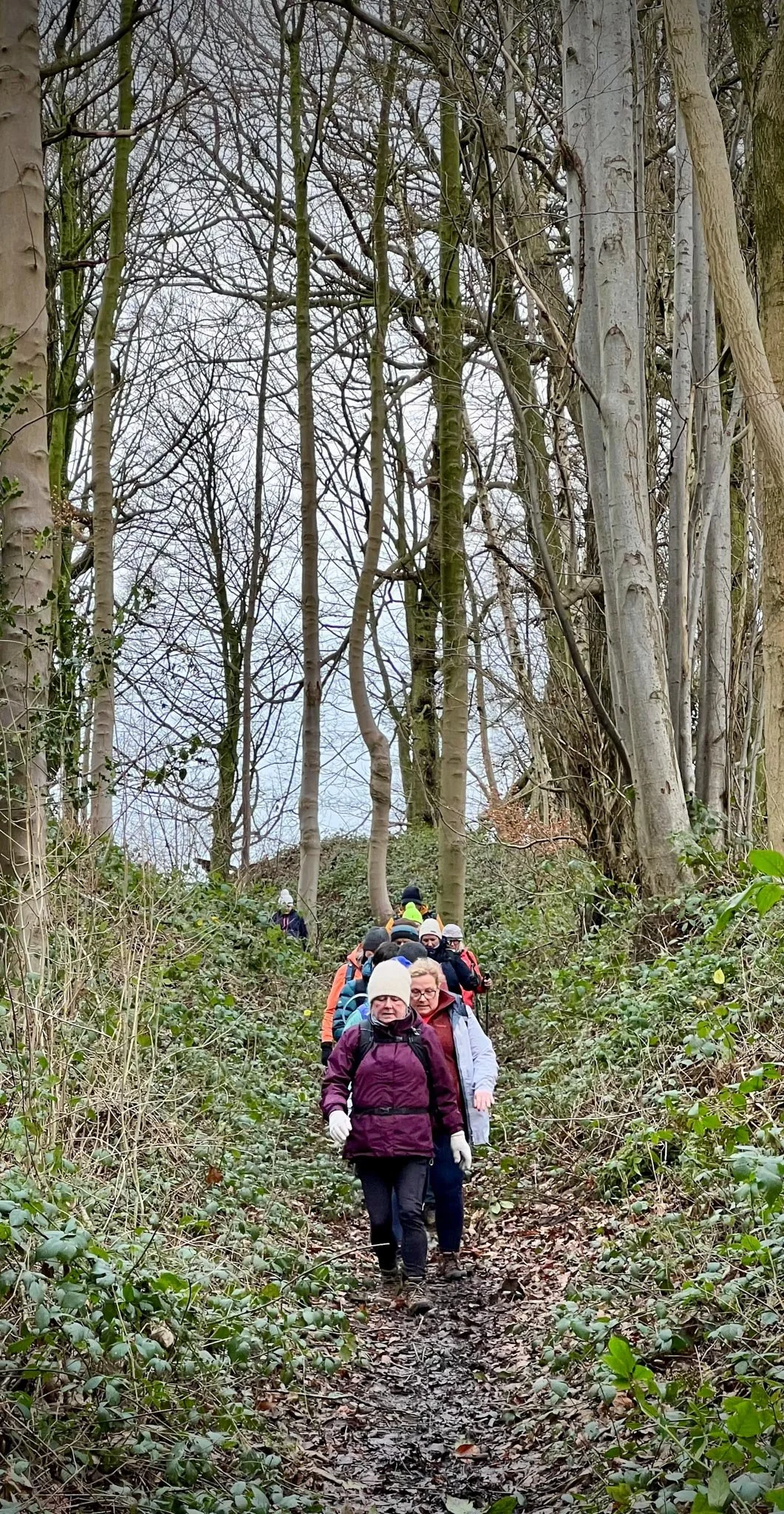 New Year's Eve Walking Break in the North York Moors-11.jpg