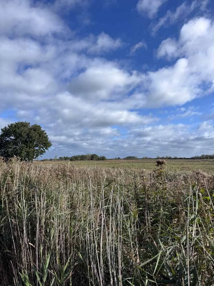 250 Norfolk Broads walking weekend-04.jpg