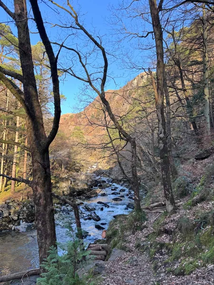 Snowdonia Christmas Walking Holiday-32.jpg