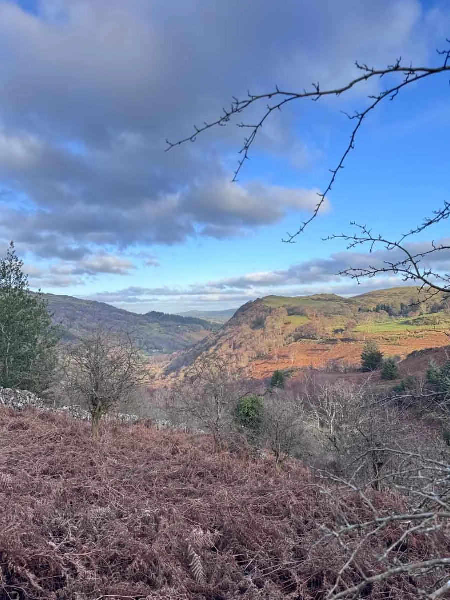 Snowdonia Christmas Walking Holiday-06.jpg