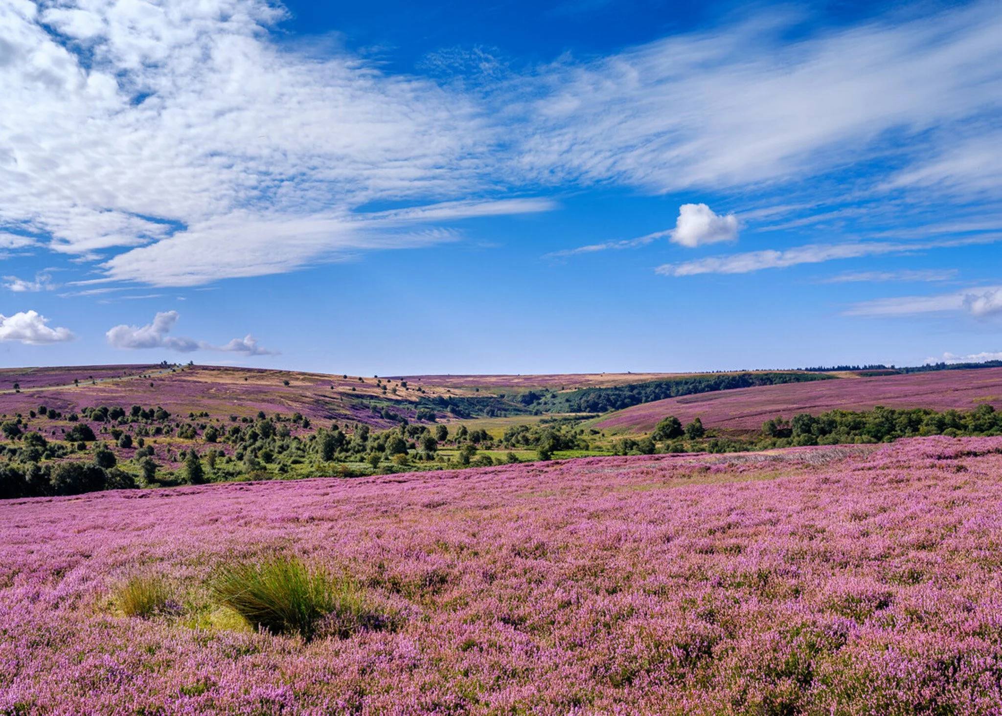 North york moors Goathland_scr.jpg