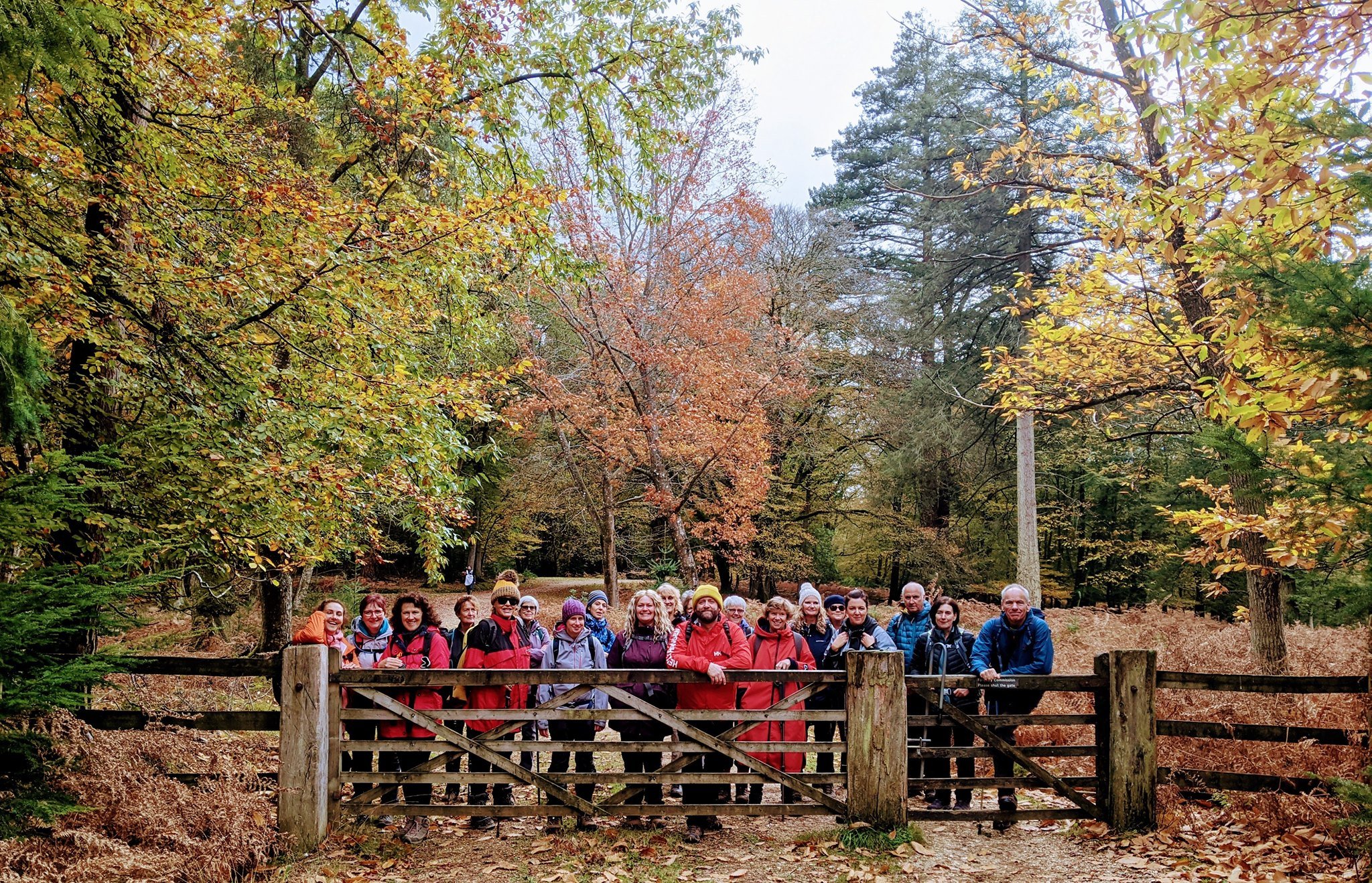 Group of people standing by a wooden gate in an autumn forest