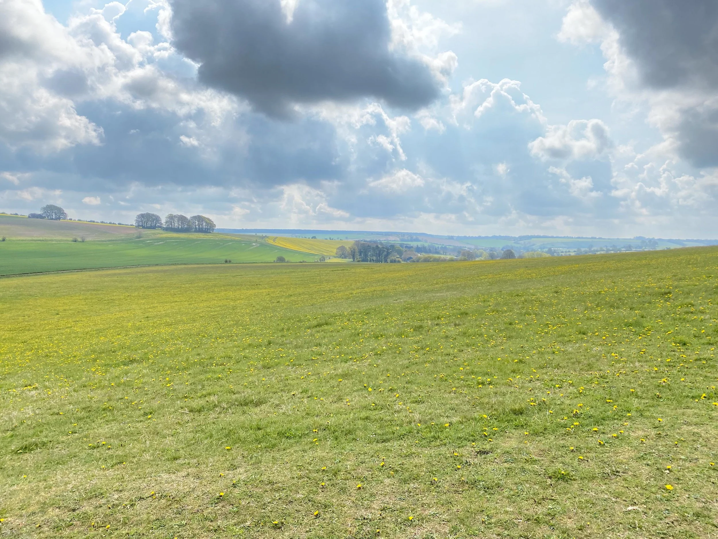 Unesco Avebury Walking Weekend north wessex downs-10.jpg