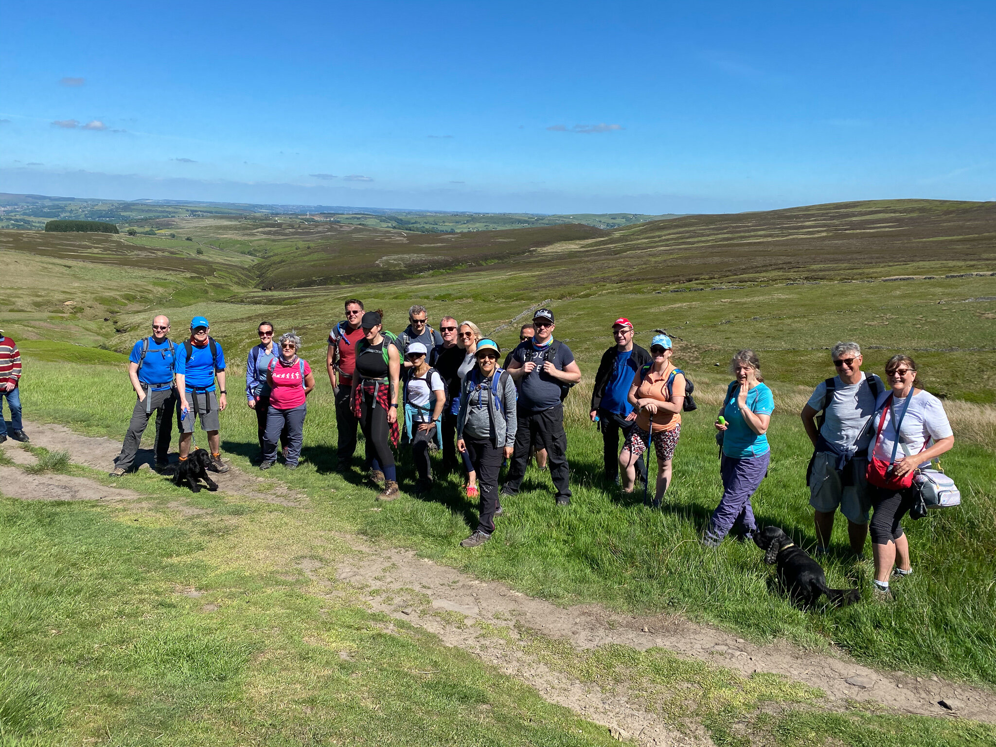 Group of hikers standing on a grassy trail in an open landscape with blue sky.