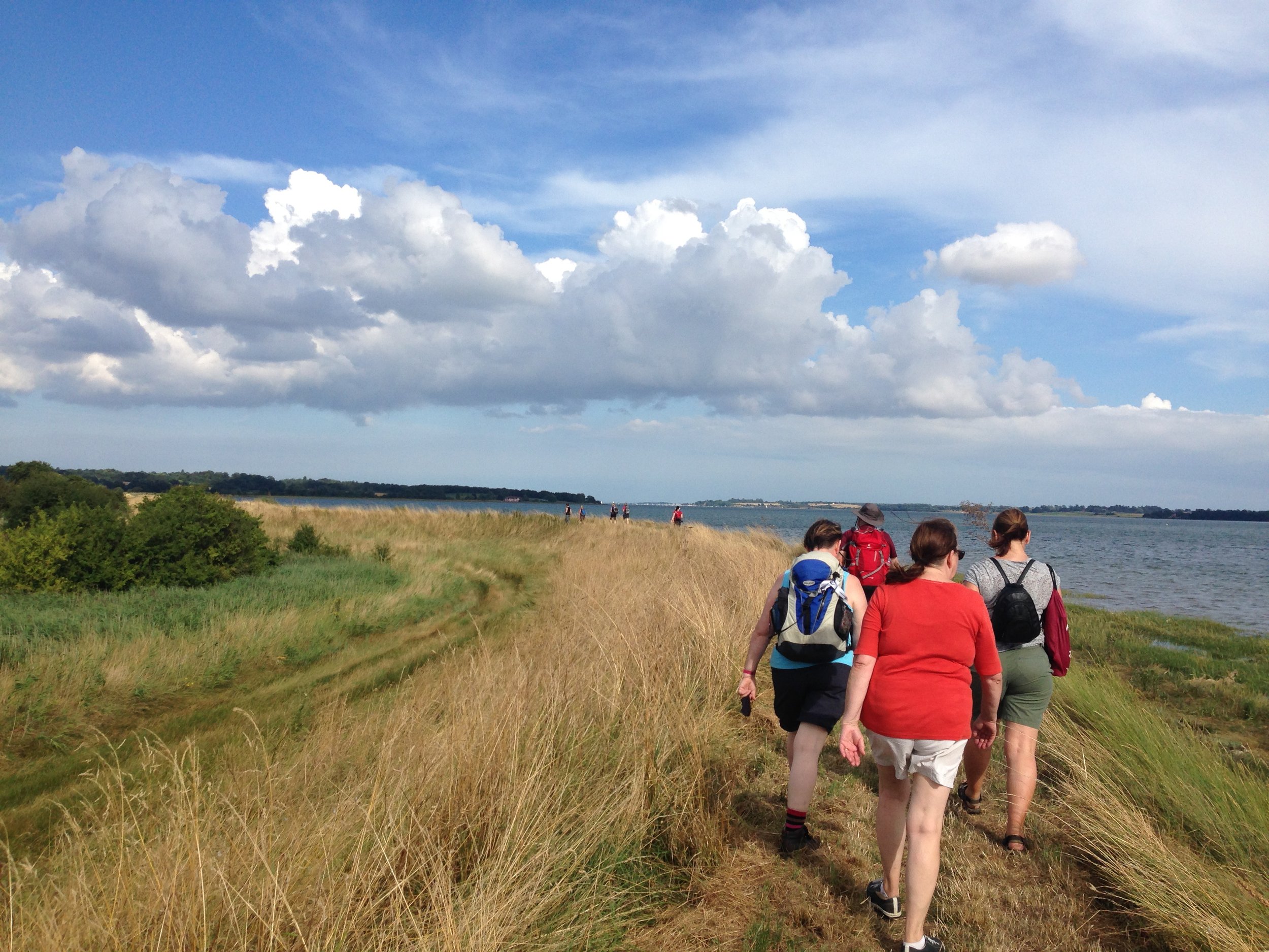 A group of people hiking along a grassy path by a body of water, under a partly cloudy sky.