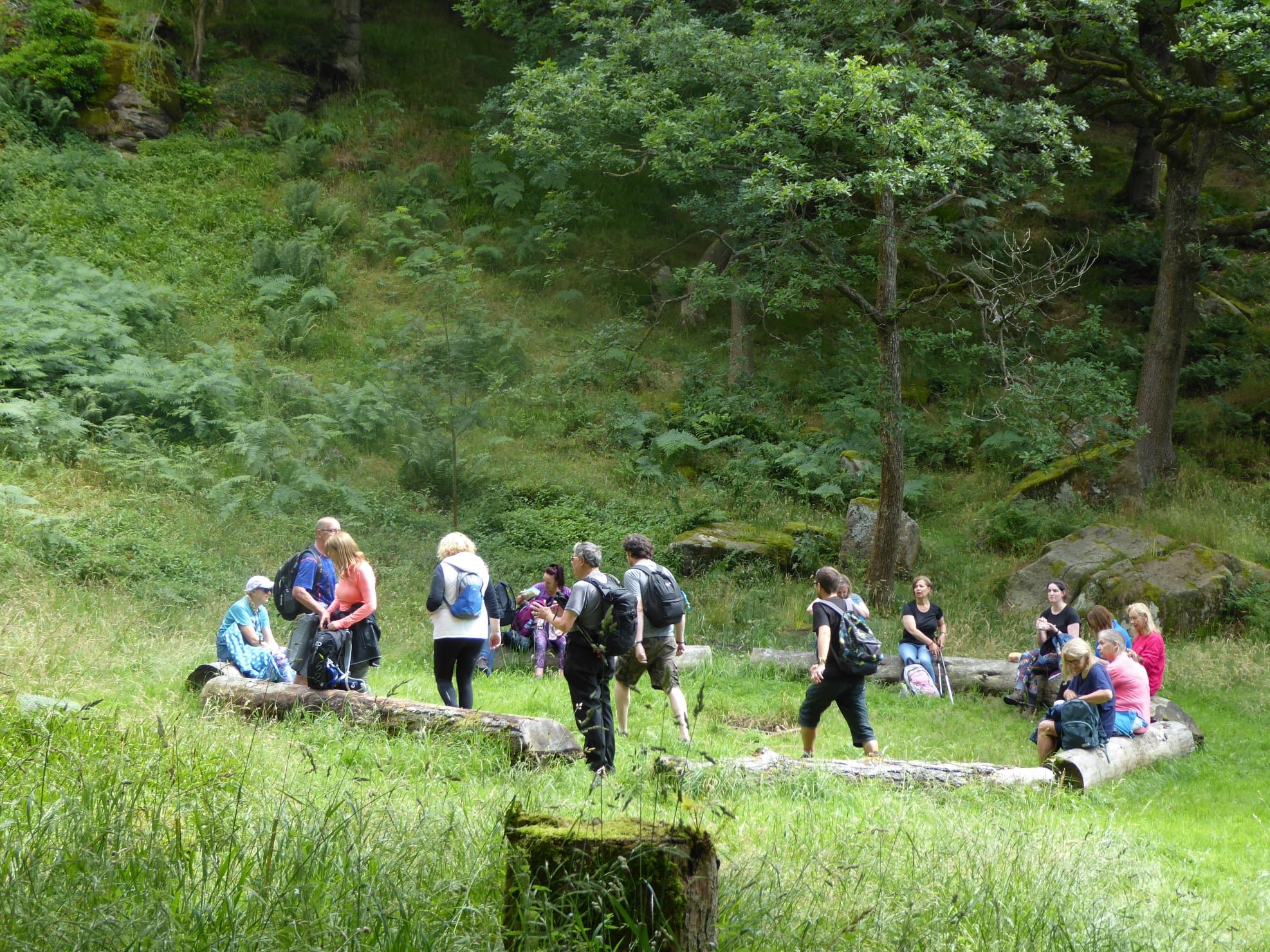 Group of people in a green forest sitting and walking around logs, wearing casual attire and backpacks, surrounded by trees and greenery.
