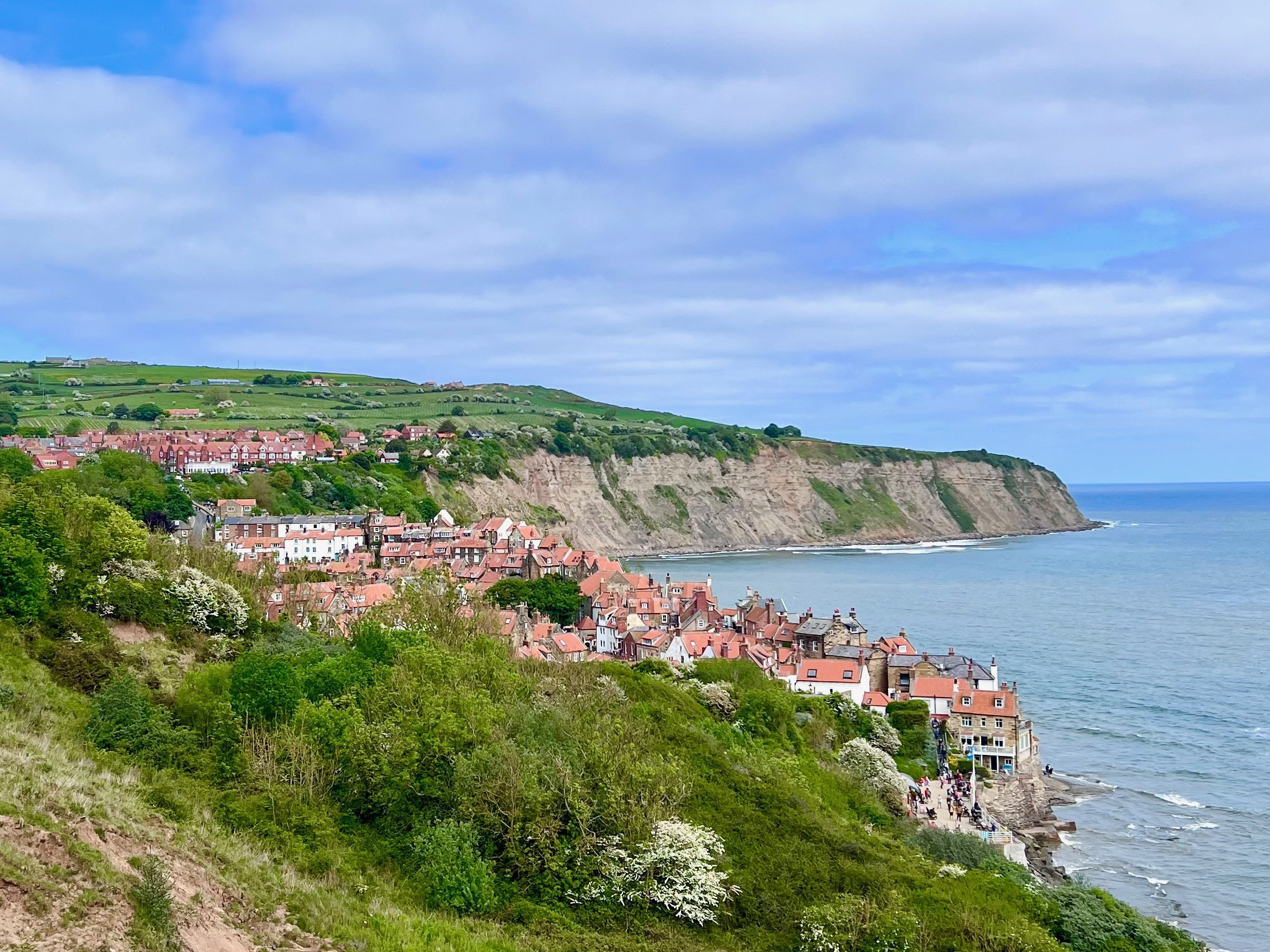 Seaside village with red-roofed houses, lush green cliffs, and ocean view.