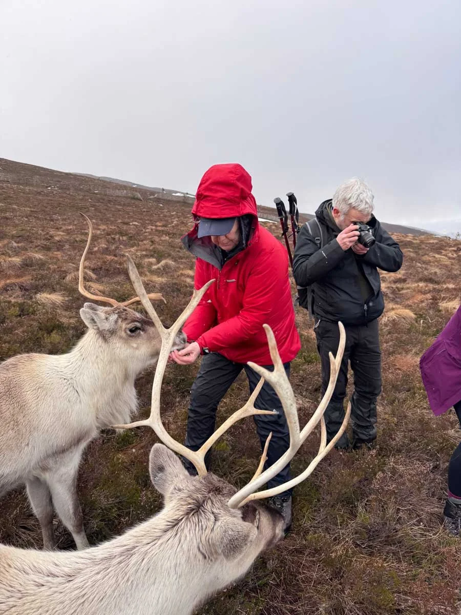 Cairngorms National Park Walking Holidays-5.jpg