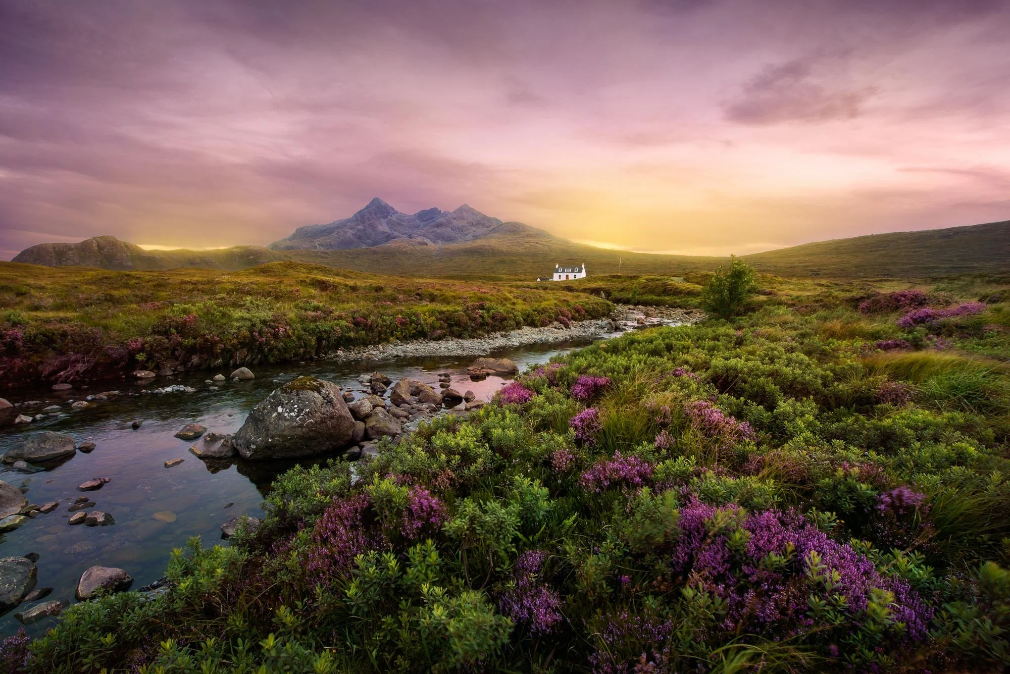 Skye Banners-1.jpg