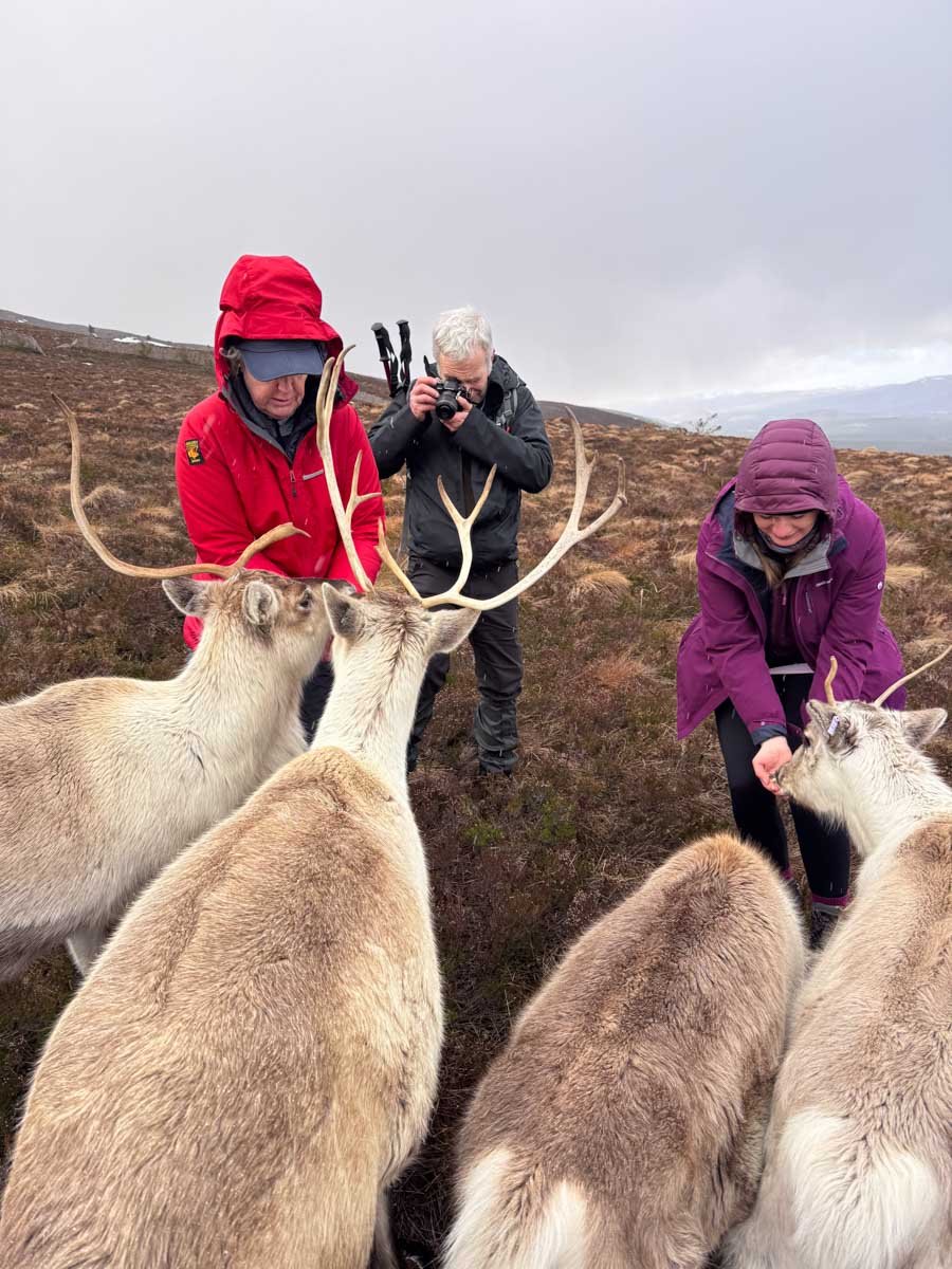 Cairngorms National Park Walking Holidays-6.jpg