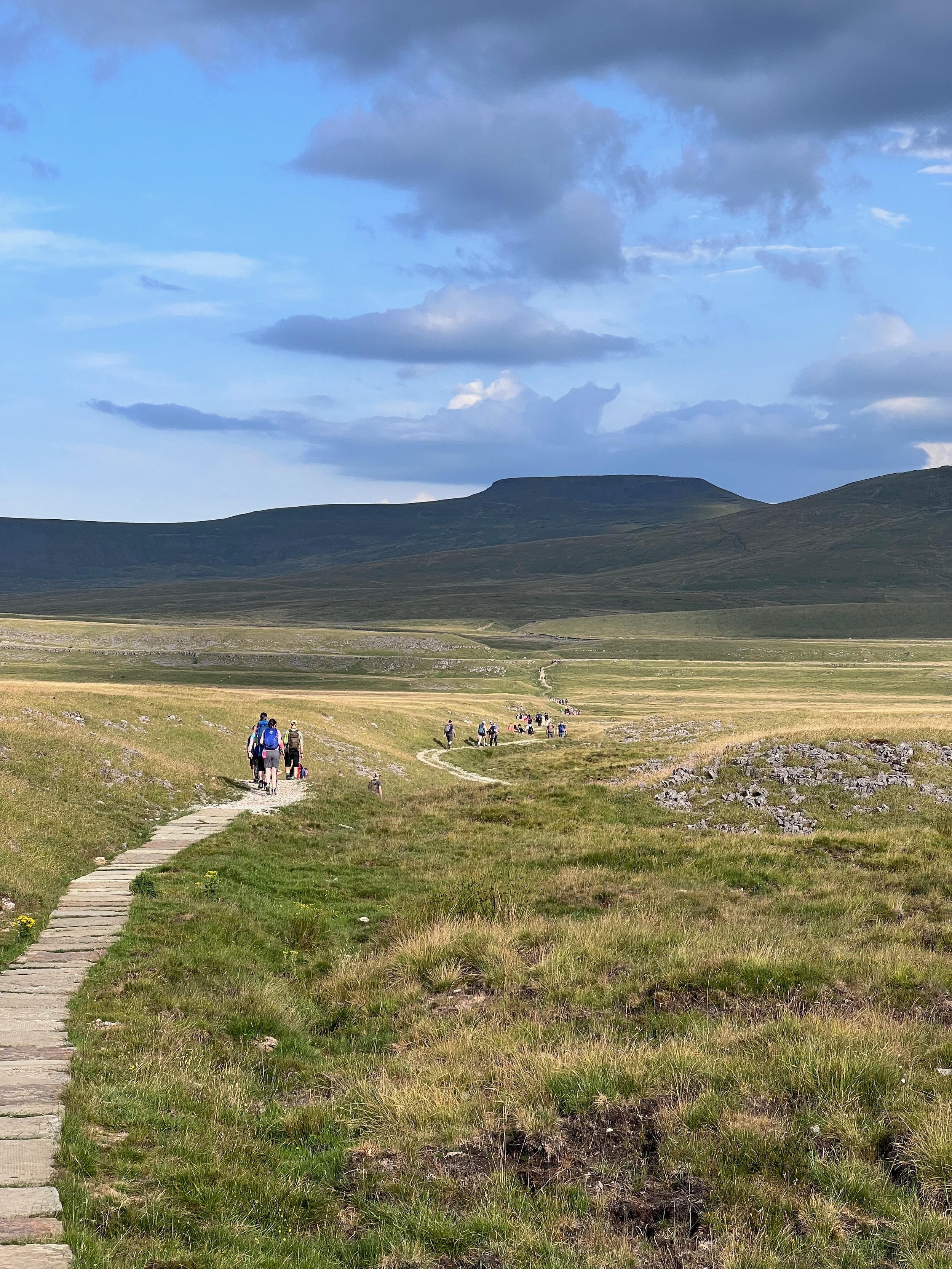 A scenic view of a grassy landscape with a stone path and hikers walking toward distant hills under a partly cloudy sky.
