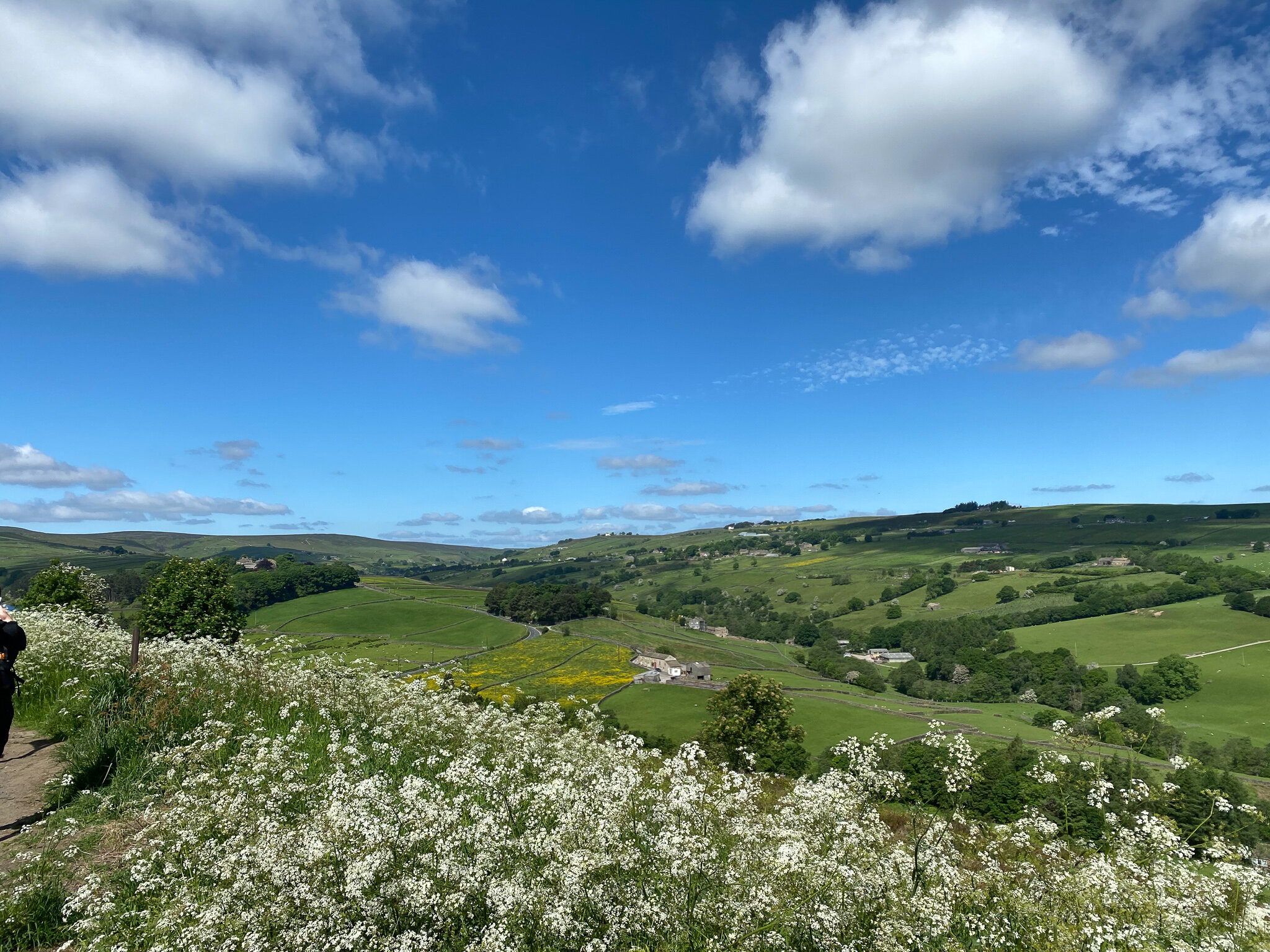 Scenic view of a lush green valley with wildflowers in the foreground and rolling hills under a blue sky with scattered clouds.