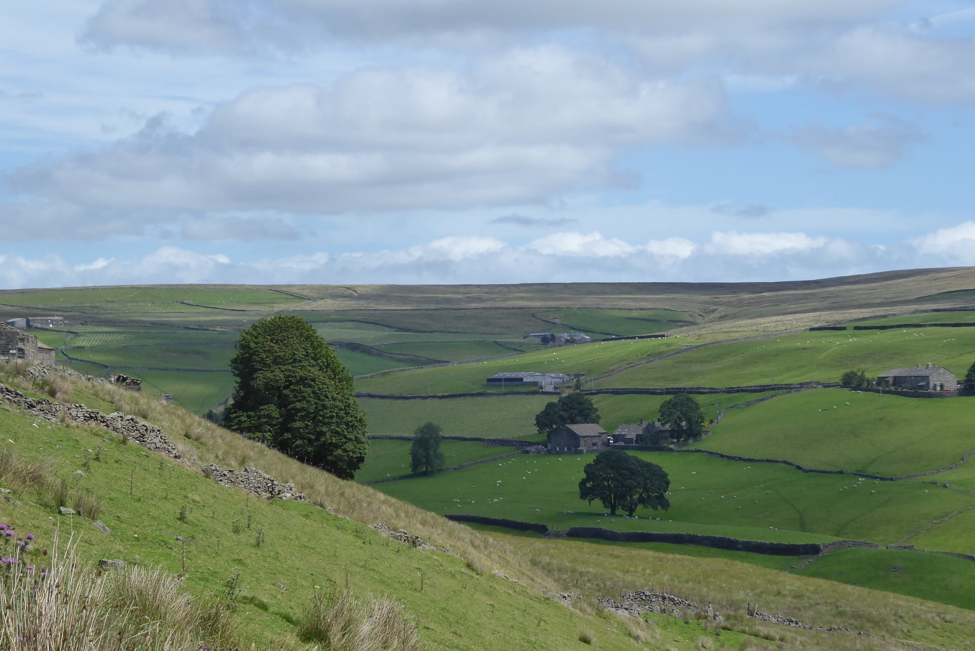 Rolling countryside with green fields, stone walls, scattered trees, and farm buildings under a partly cloudy sky.