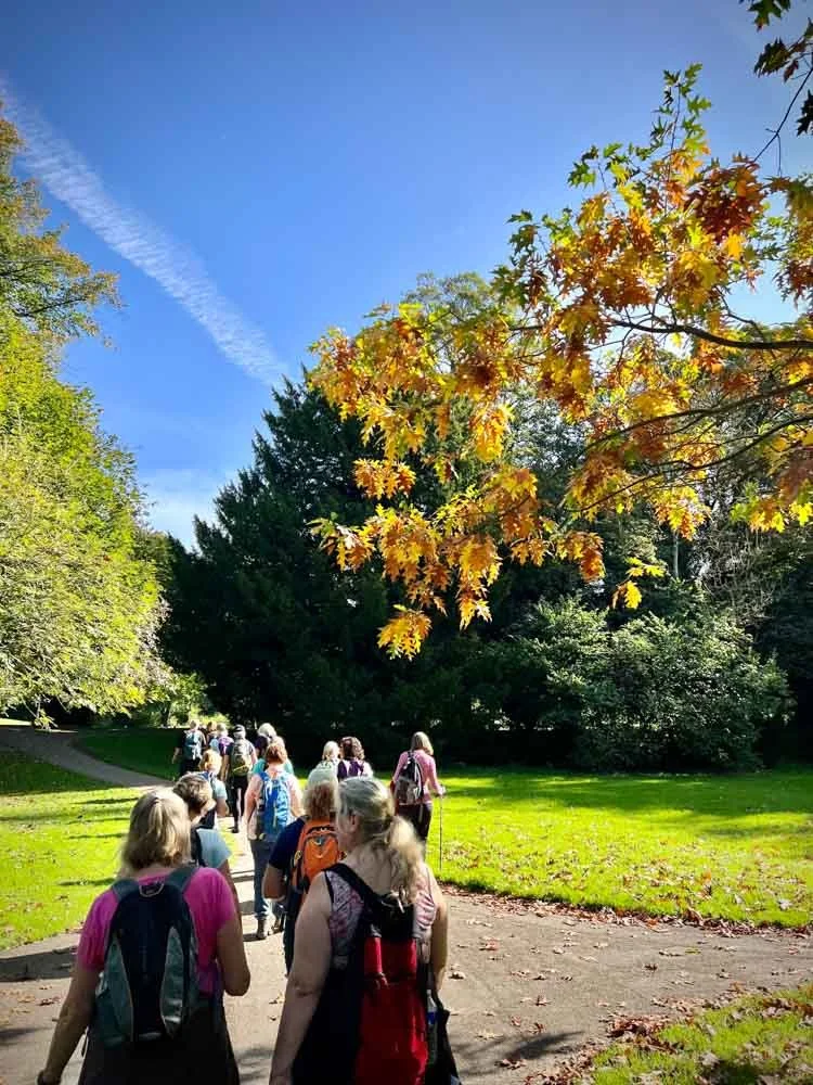 Woodland Walking in Shropshire