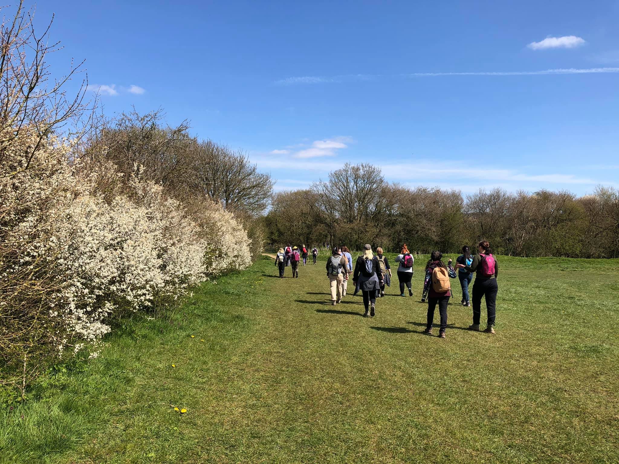 Group of people hiking on a grassy trail with flowering bushes and trees under a blue sky.