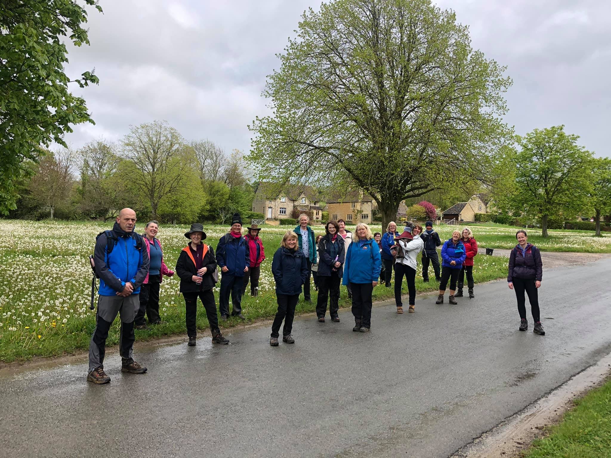 A group of hikers standing on a paved road near a meadow with dandelions and large trees, with stone houses visible in the background.