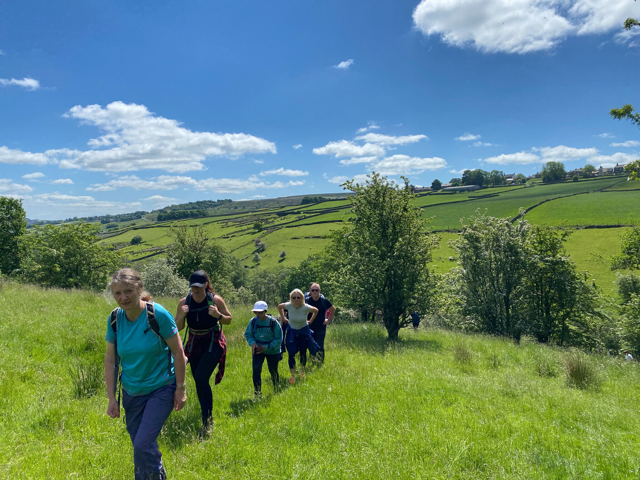 Group of people hiking in a lush green countryside with rolling hills, trees, and a bright blue sky with clouds.
