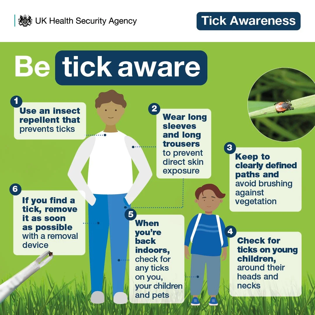 Ticks in the UK: What Walkers Need to Know