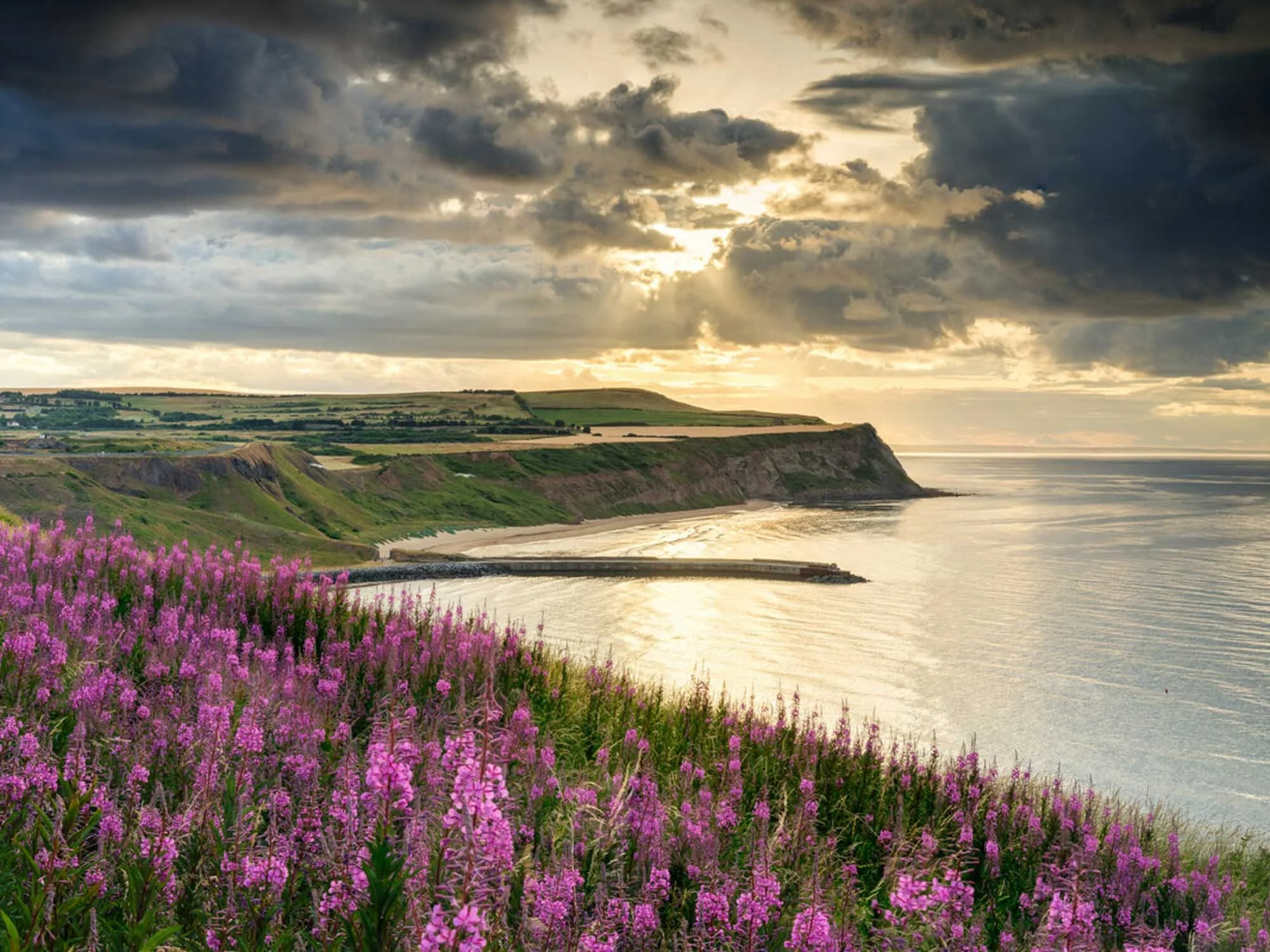 North York Moors Banner-2.jpg