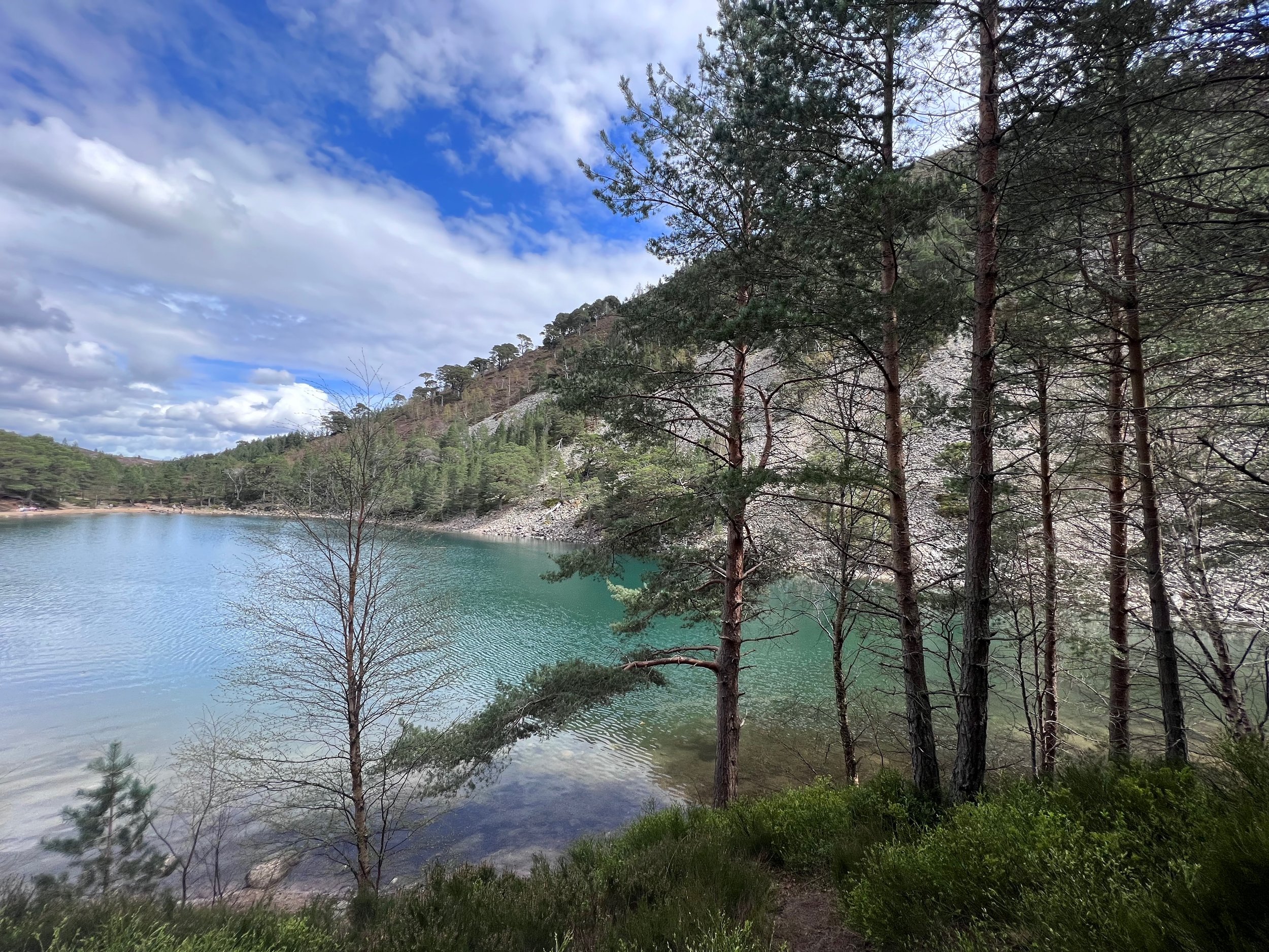 Pine trees by a turquoise lake with hills and a cloudy blue sky in the background.