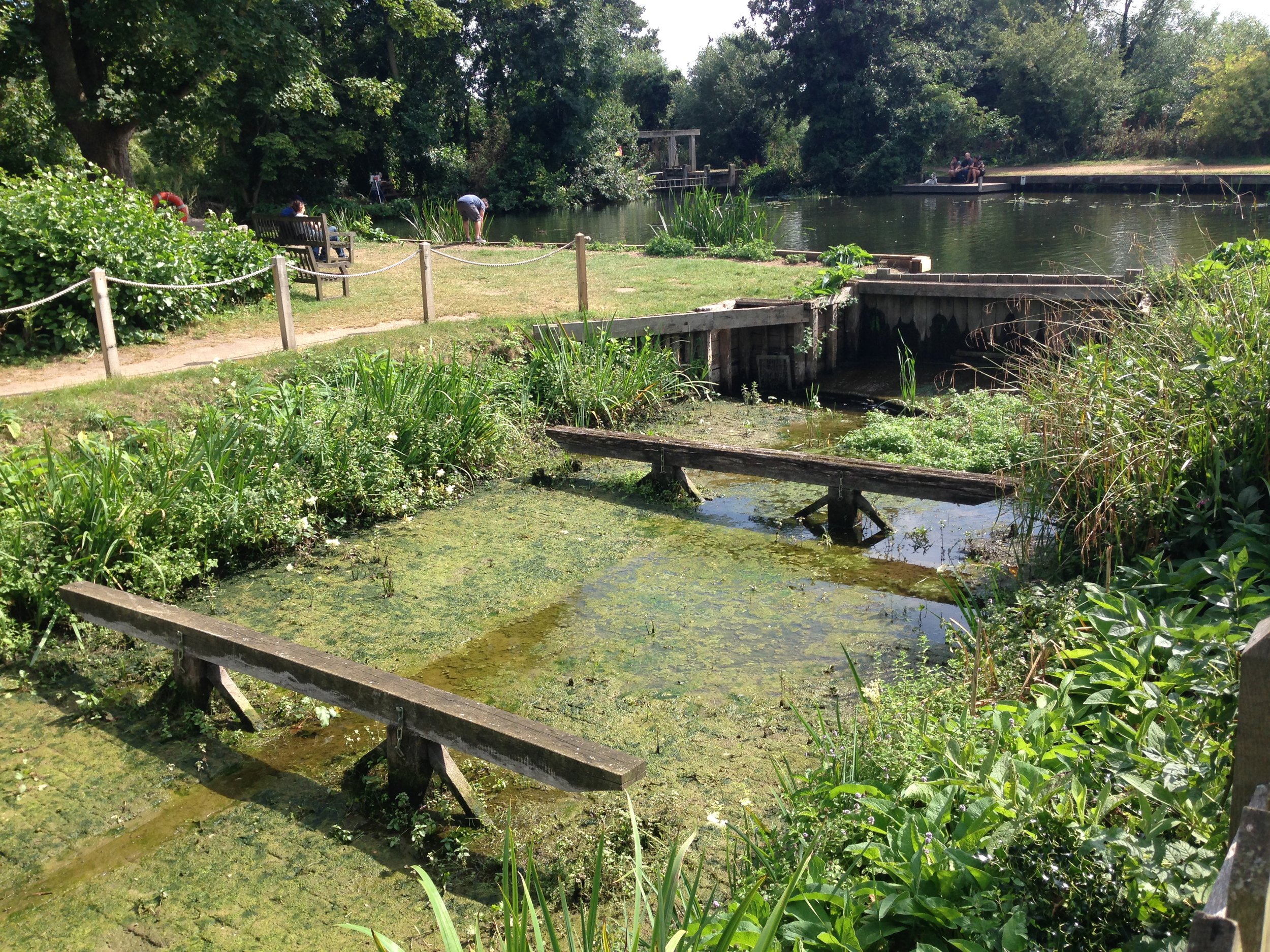 A scenic pond surrounded by lush greenery and trees. The area features wooden walkways over the water and benches for sitting. People are visible enjoying the natural surroundings. The pond has aquatic plants and a calm, reflective surface.