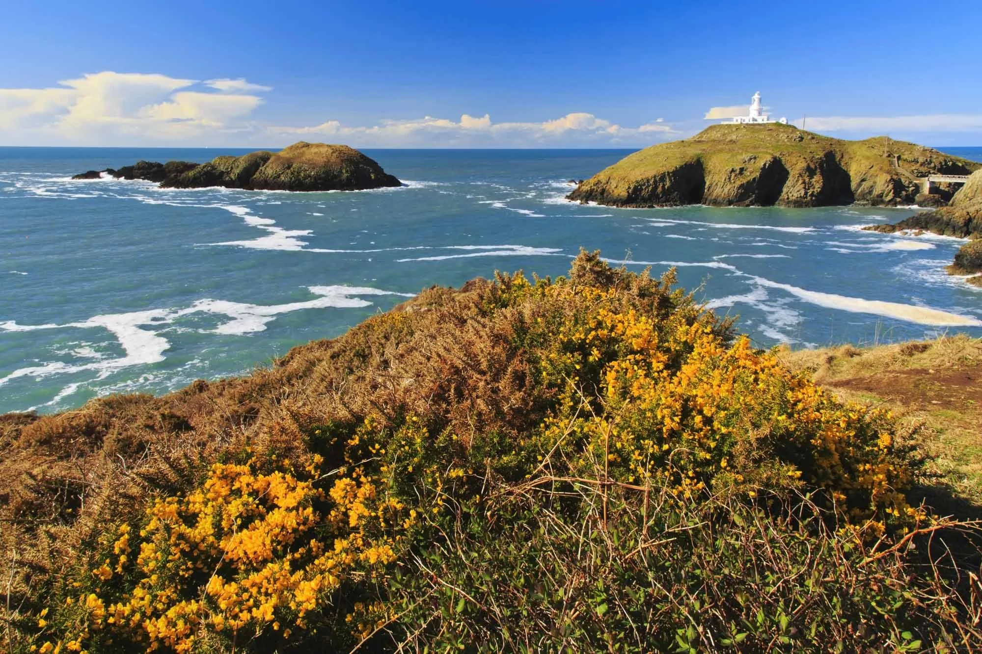 Banners St Davids-3.jpg