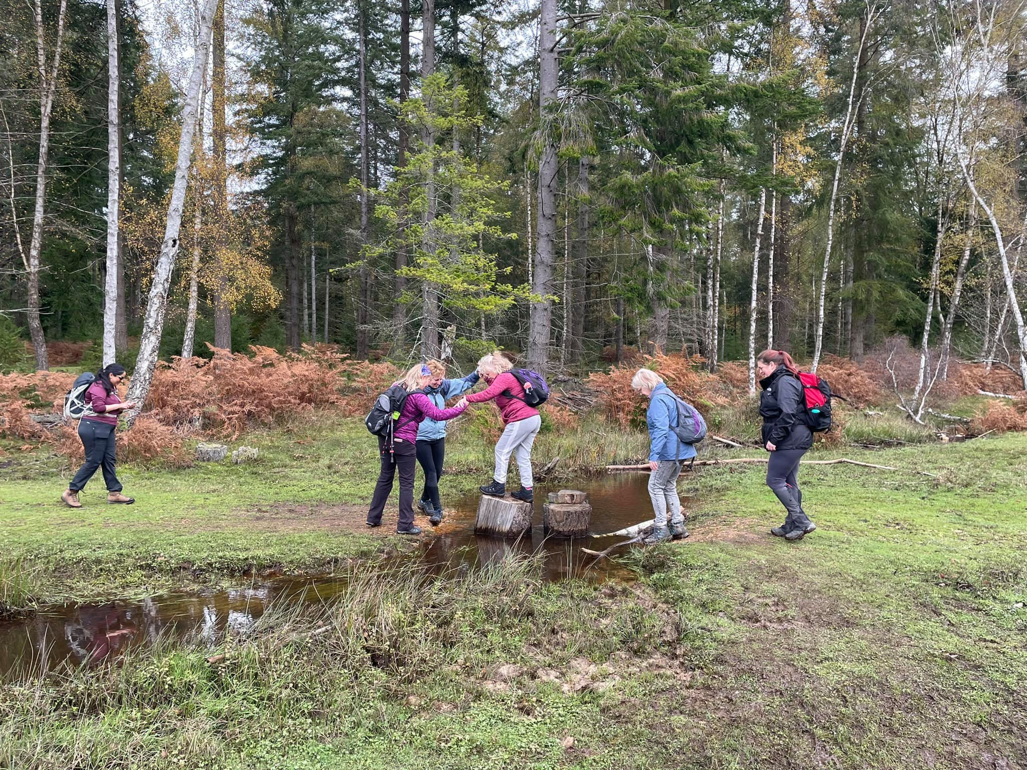 Group of hikers crossing a small creek in a forest setting