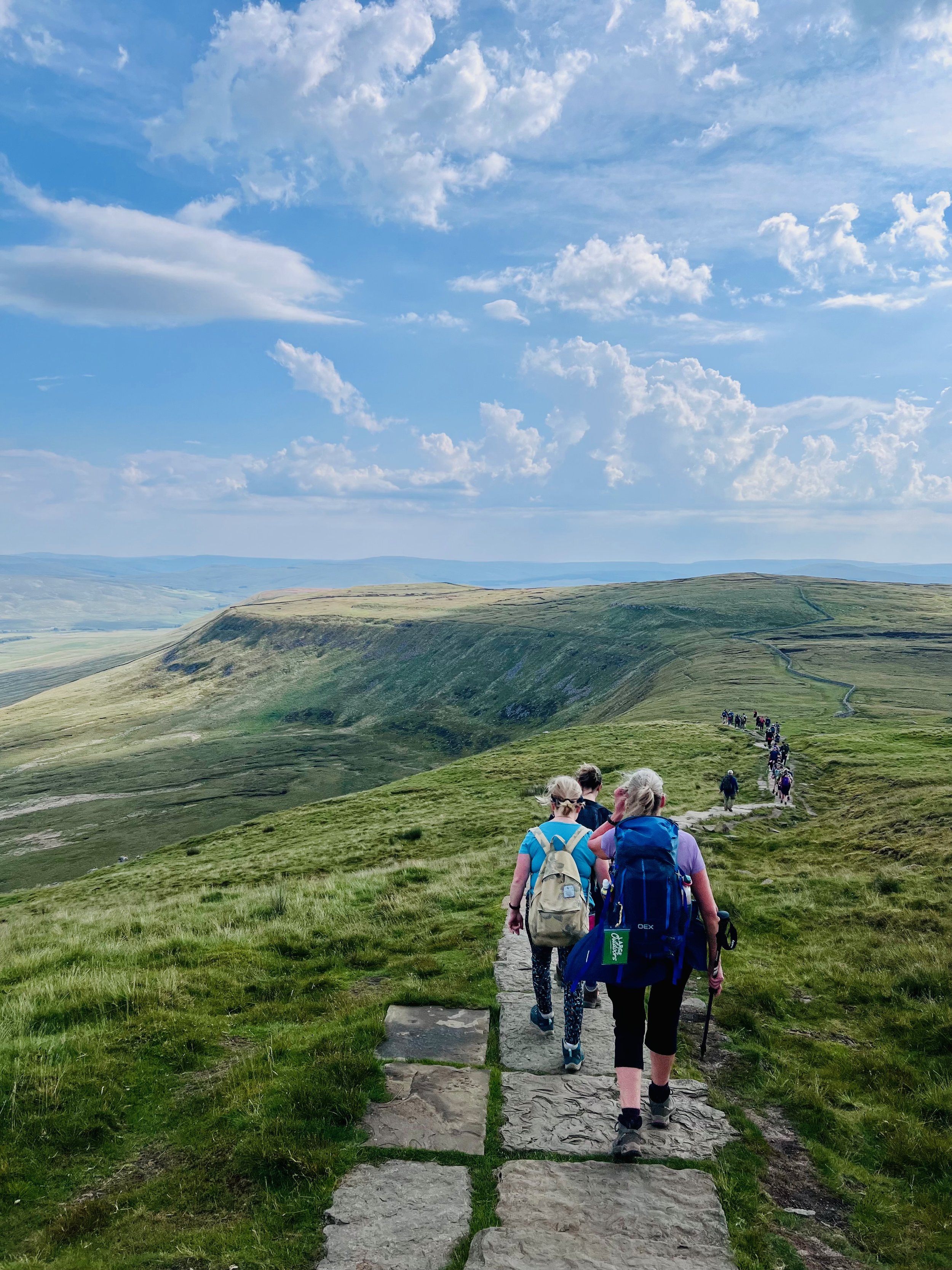 Hikers walking on a grassy trail with backpacks, under a blue sky with clouds in a scenic landscape.