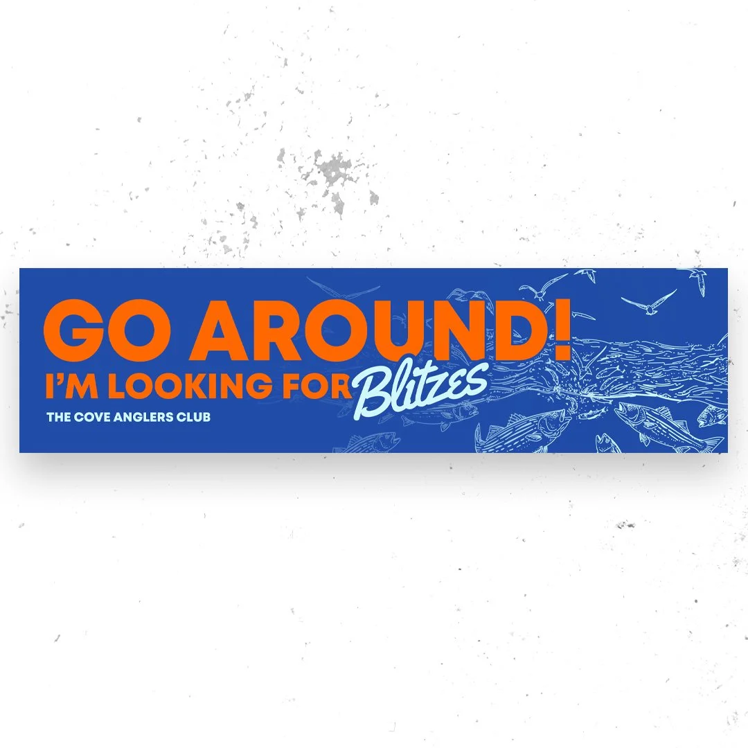 Blitz Bumper Sticker
