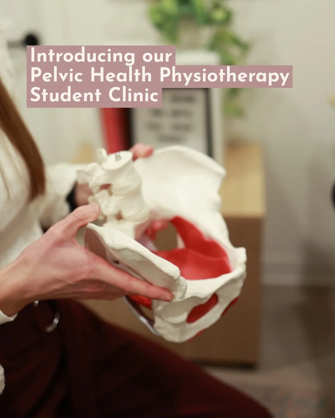 At The WOMB, we believe pelvic health support should feel approachable, empowering, and accessible. 🤍

For a limited time, we are so excited to offer a Pelvic Health Physiotherapy Student Clinic in collaboration with Molly Carpenter, a senior physio