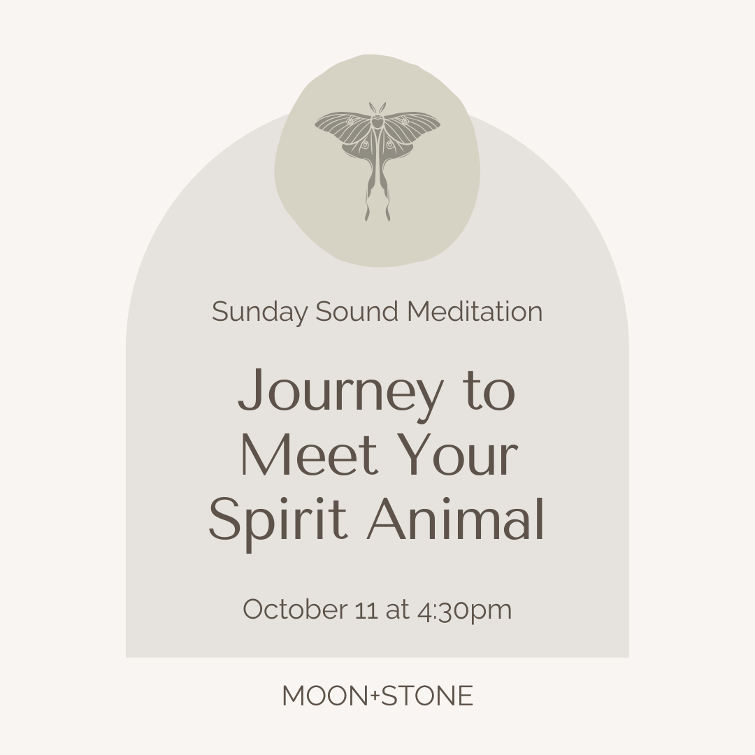 journey to meet your spirit animal sound meditation
