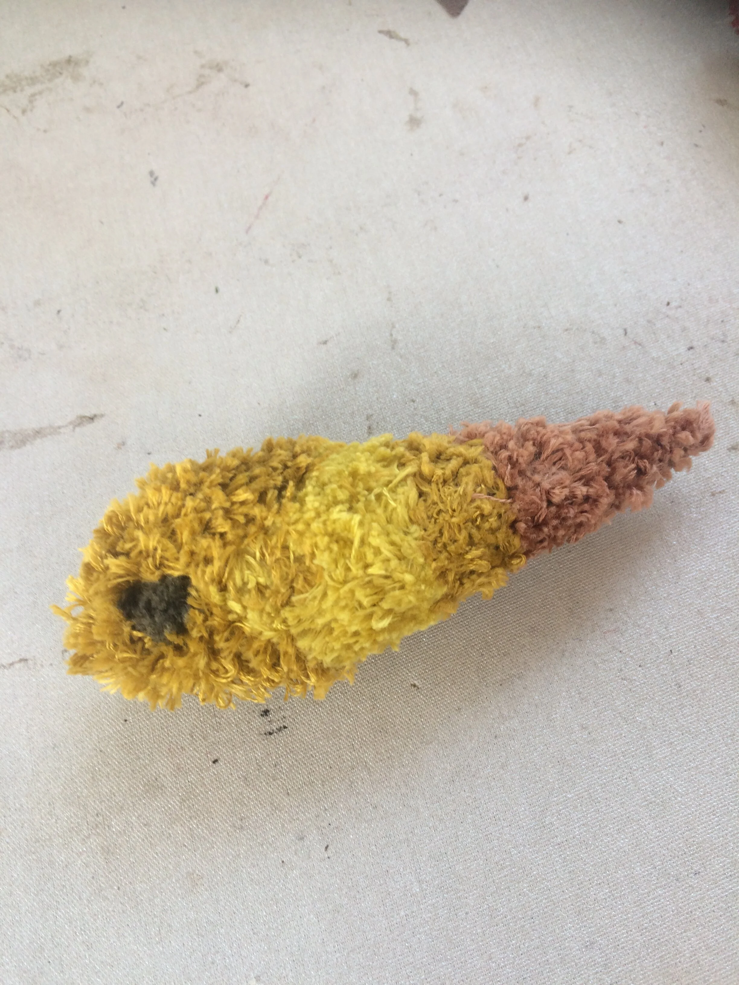 Complete moth body