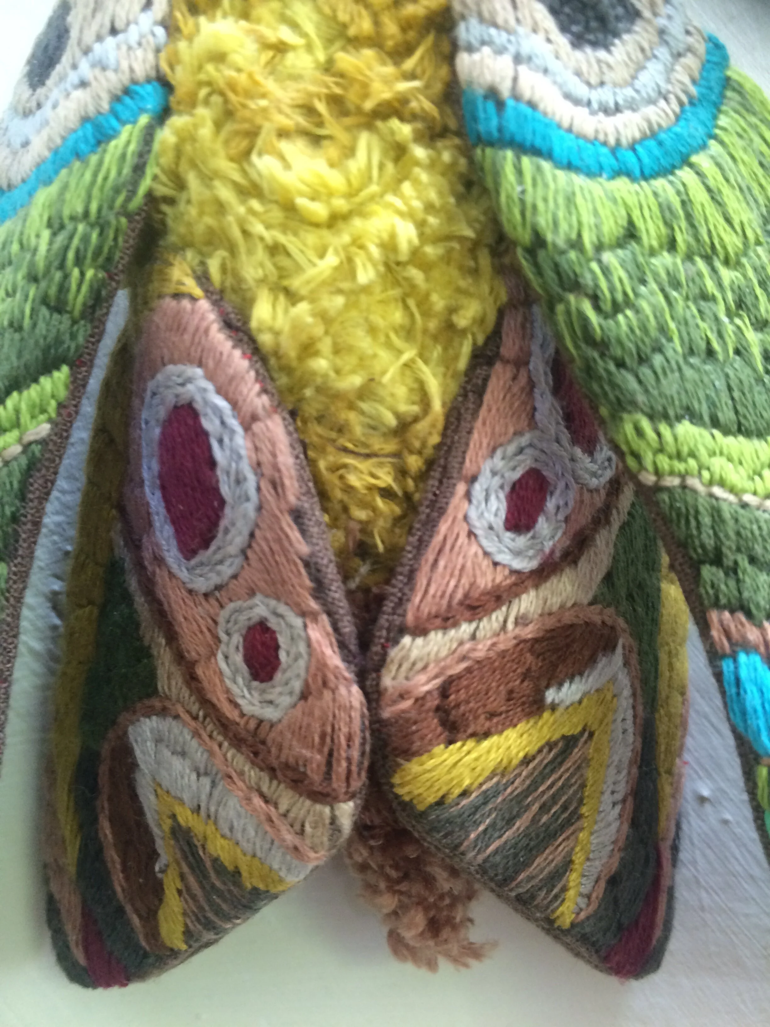 Closeup of finished moth's body