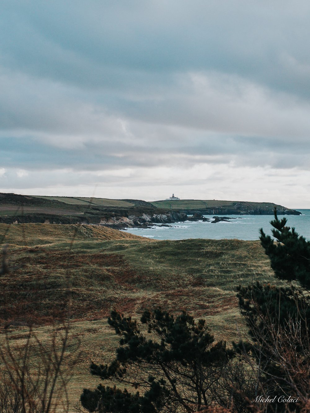 Galley Head View