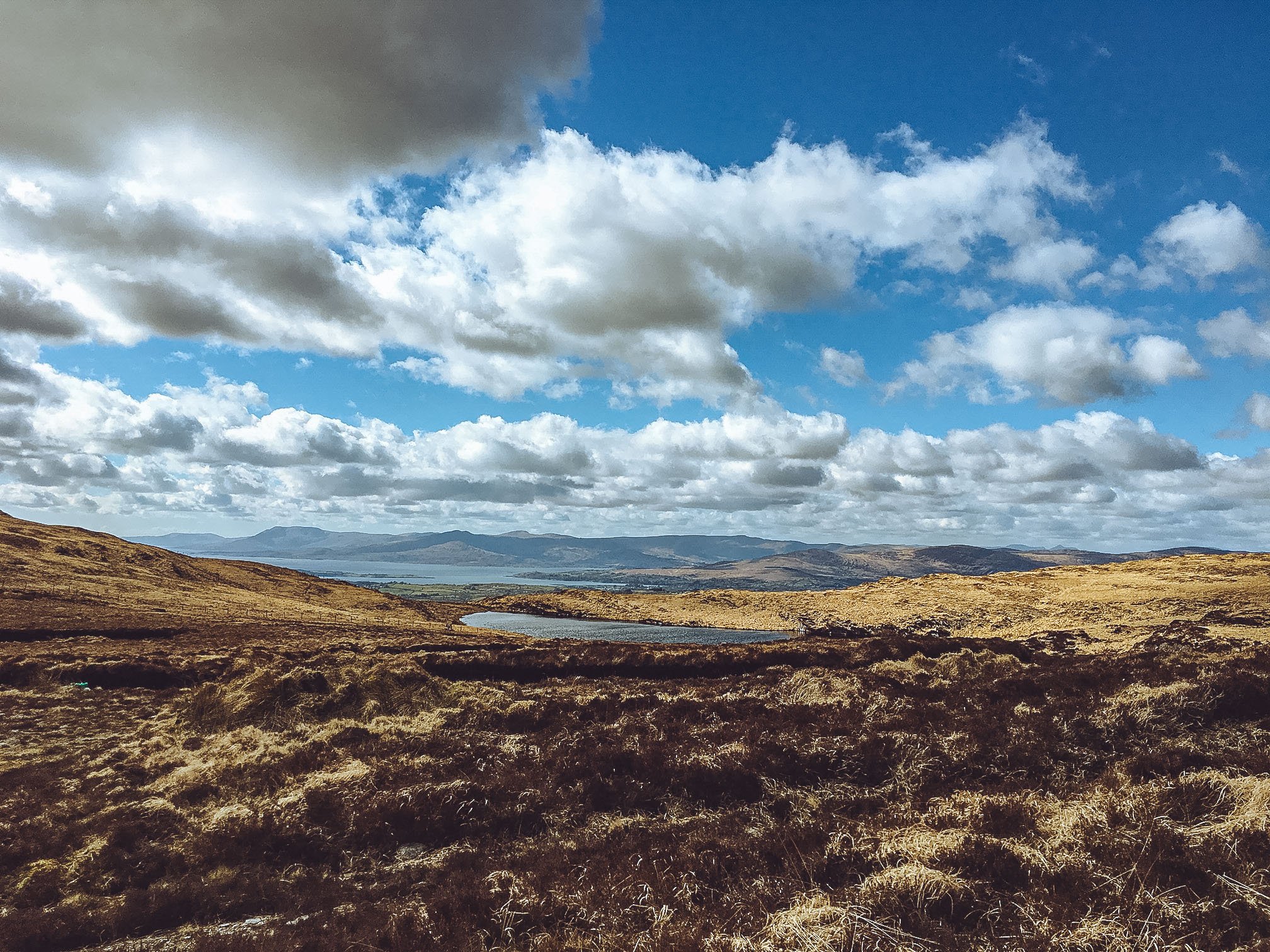 Mullaghmesha Hill Walk — West Cork Discovered