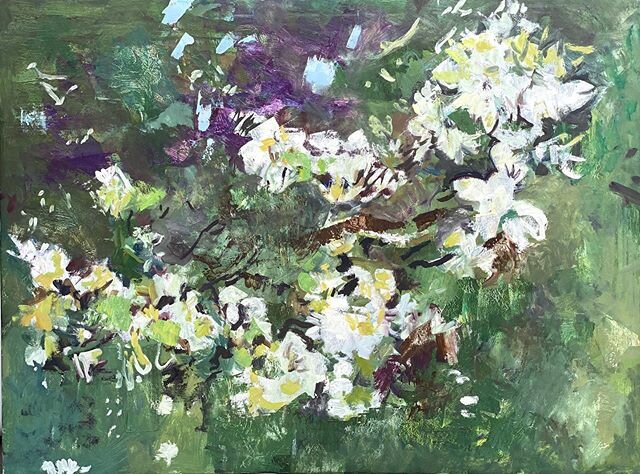 New work by @ryancobourn Daydream Series, 30x40 inches #oilonpaper #oilpainting #abstractart #abstractflowers #naturestudy #flowerstudy #whiteflowers #bouquet #abstractpainting #nyartist #beautifulpainting #paintingonpaper