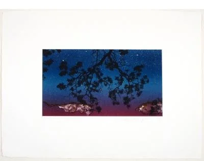 Nocturne
screen print and monotype on Kozo paper mounted on Twinrocker
22 x 30 inches
$800