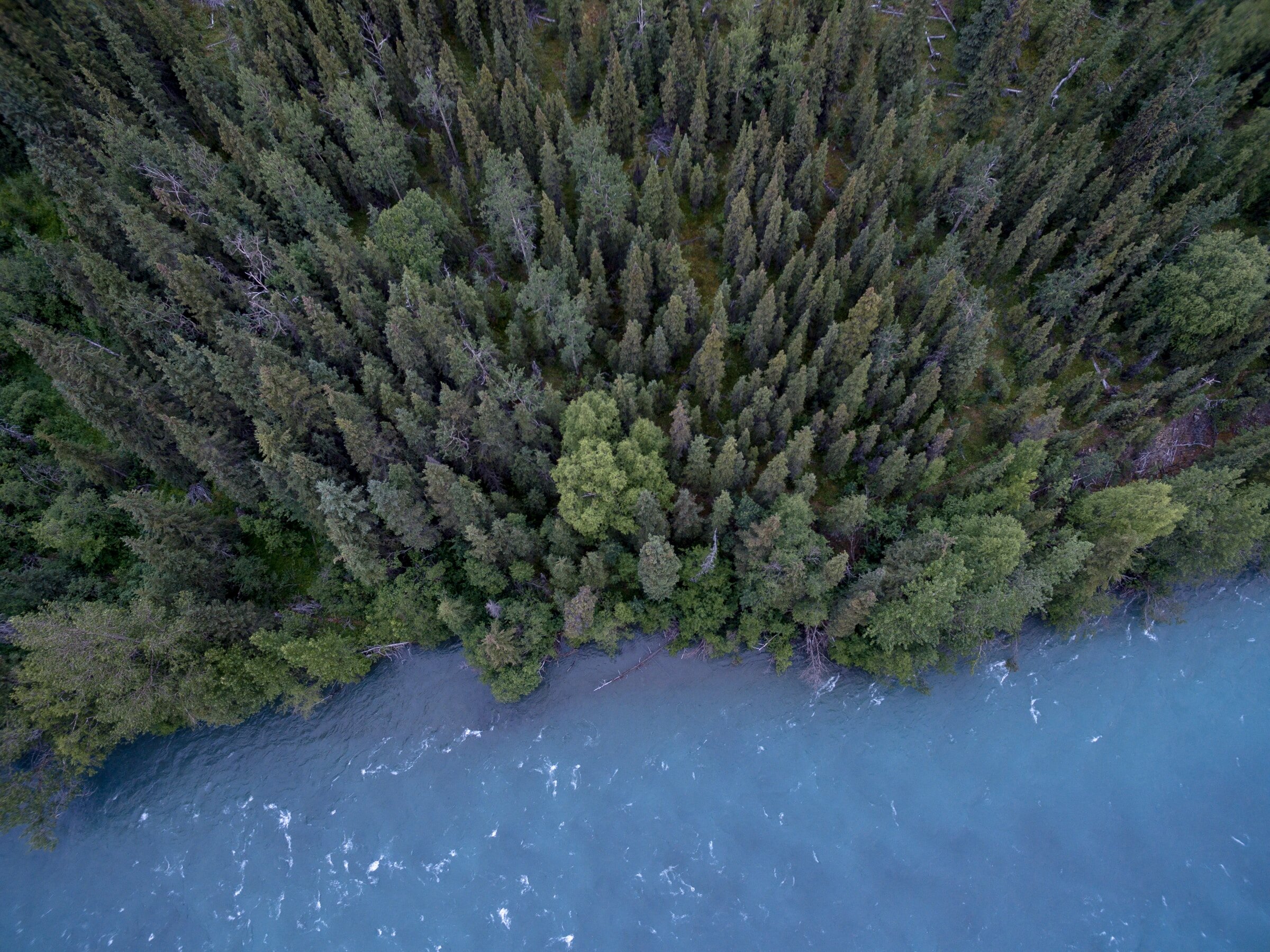 The real and surprising role of purpose in your conservation careeR