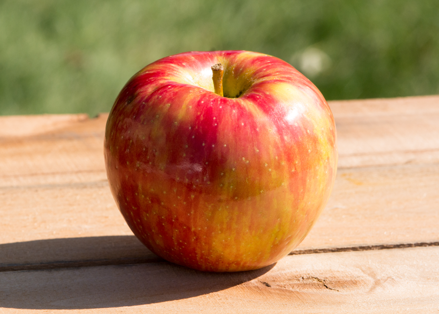 Honeycrisp