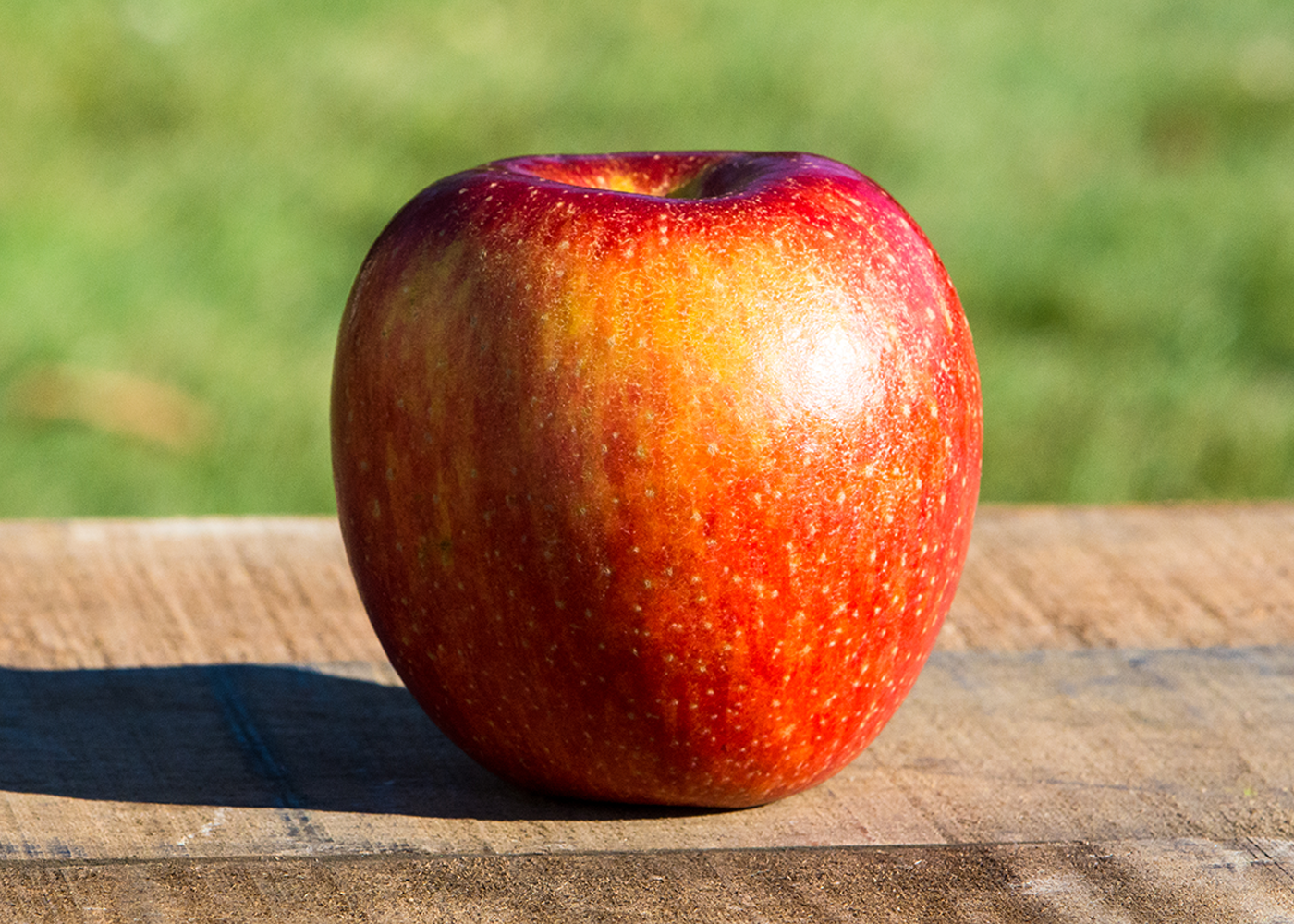 Apple - つつ