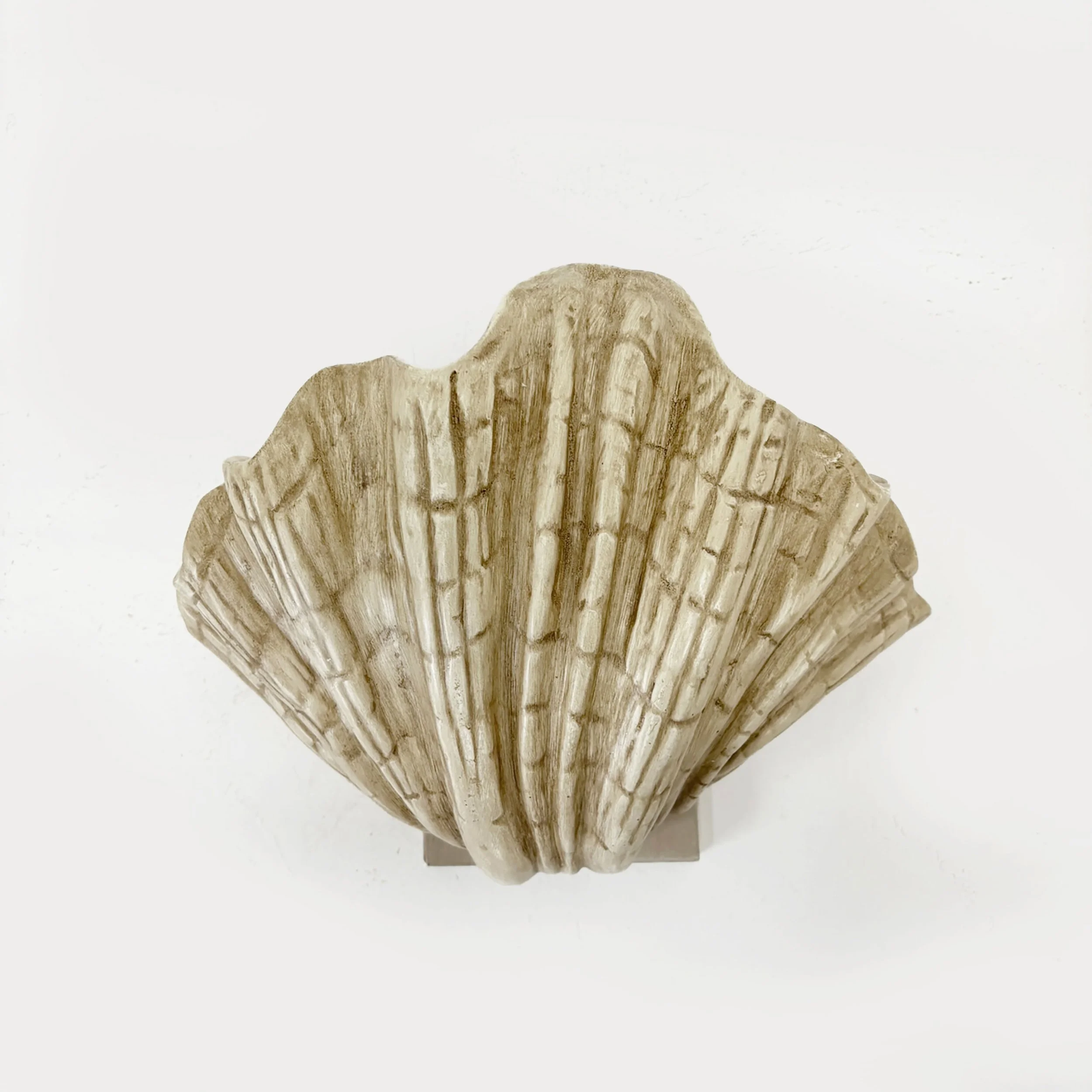 Set of French Plaster Shell Sconces