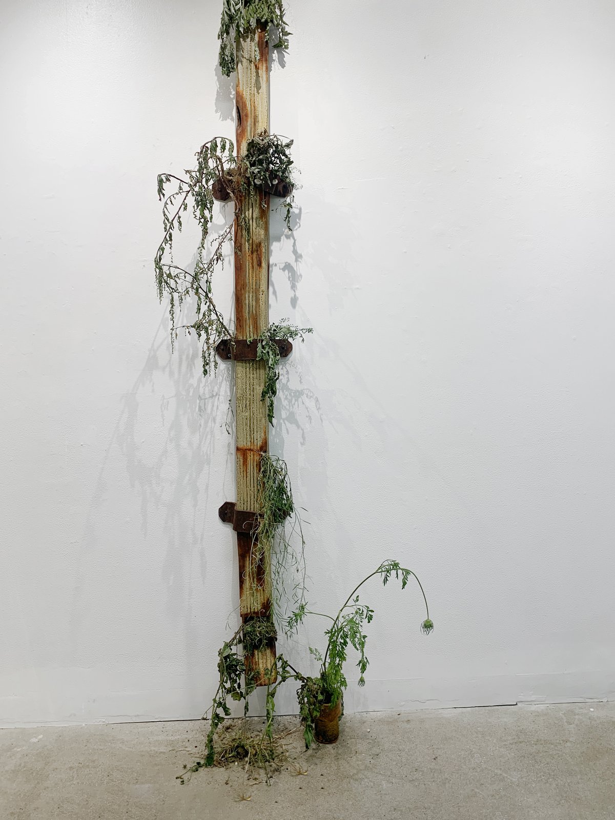 Drainage Fee, 2022 Ceramic, Plants 12”x12”x96”