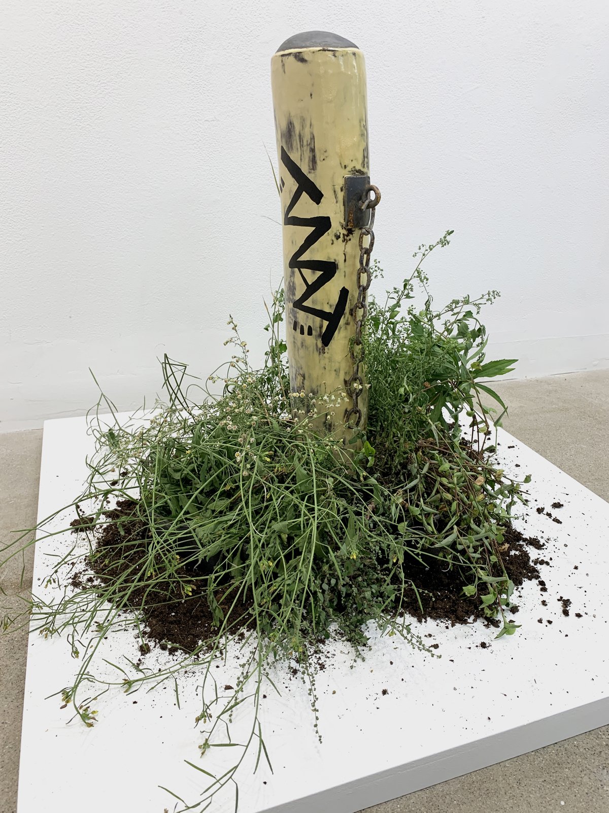 TWAT, 2022
Ceramic, Plants 36”x36”x36”