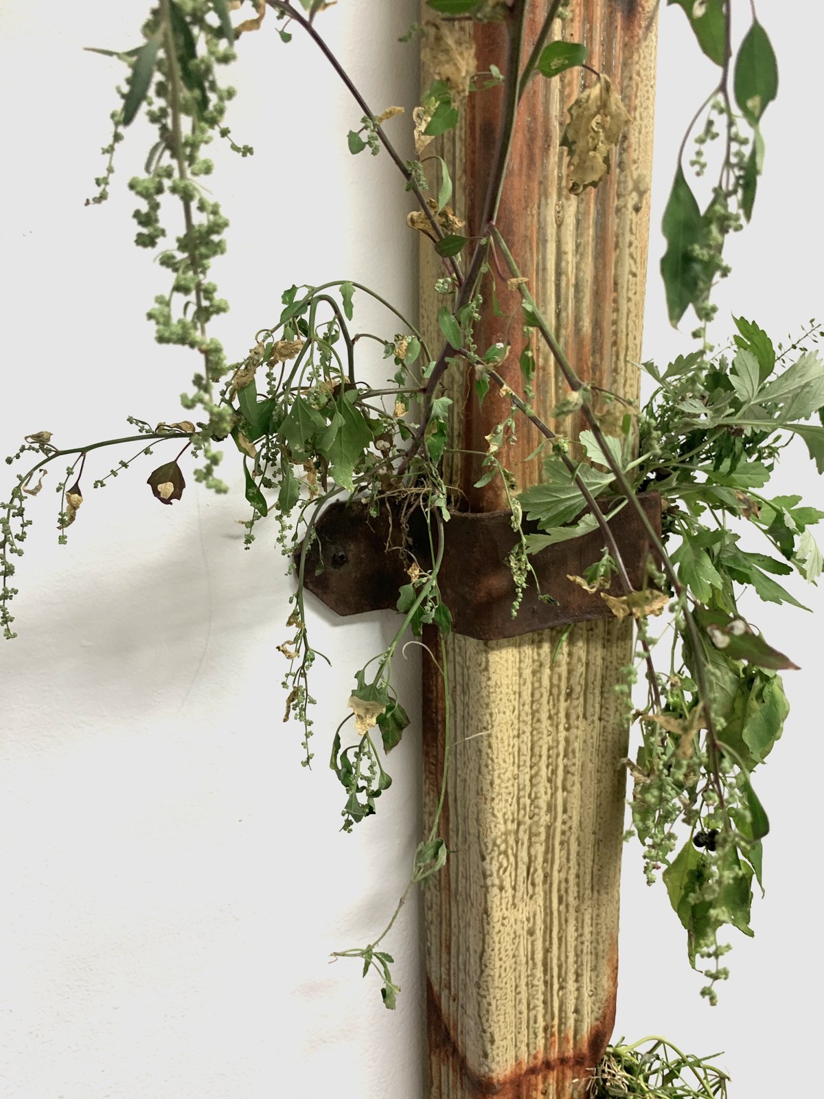 Drainage Fee, 2022 Ceramic, Plants 12”x12”x96”