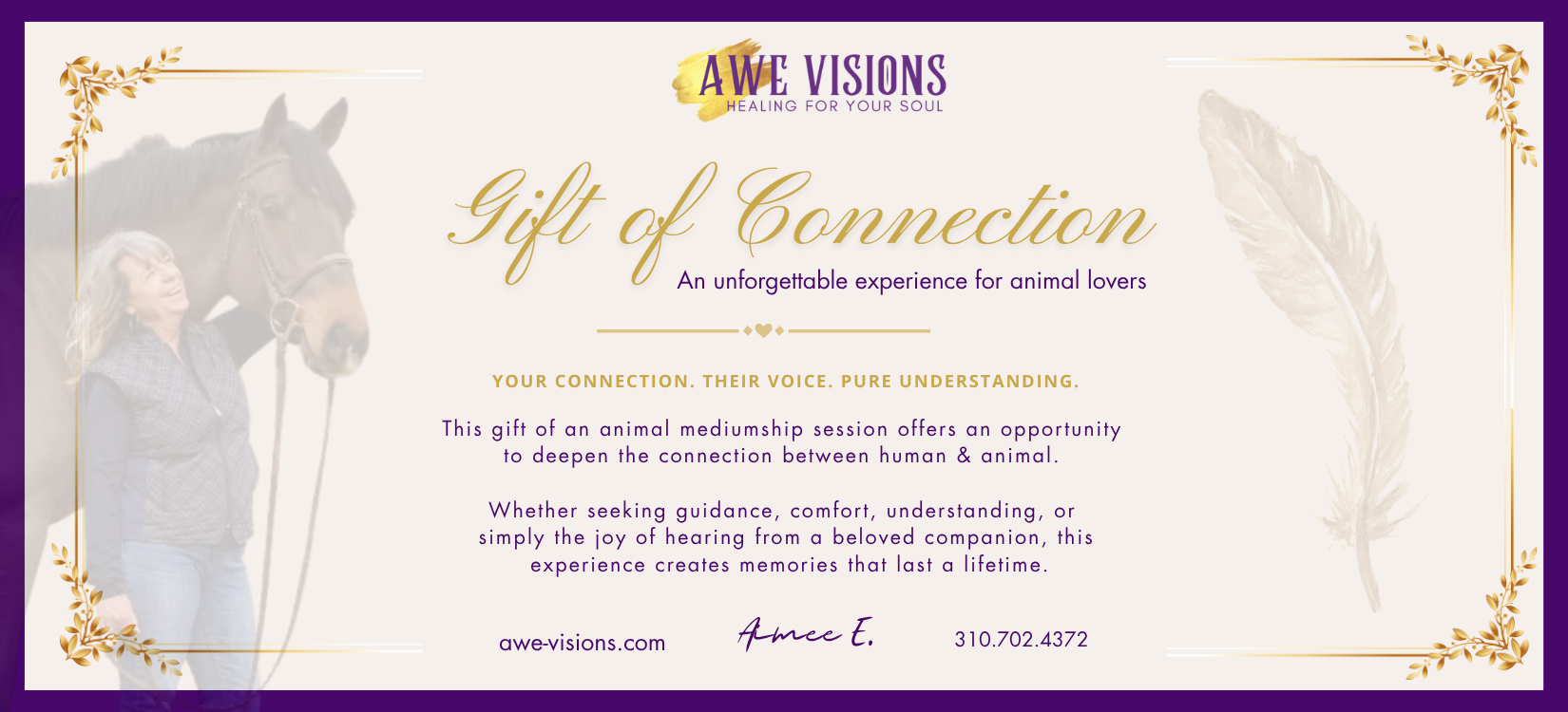 Awe Visions Gift of Connection (2) (1).png (Copy)