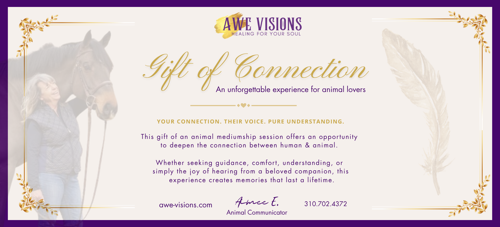 Give an animal mediumship reading as a gift