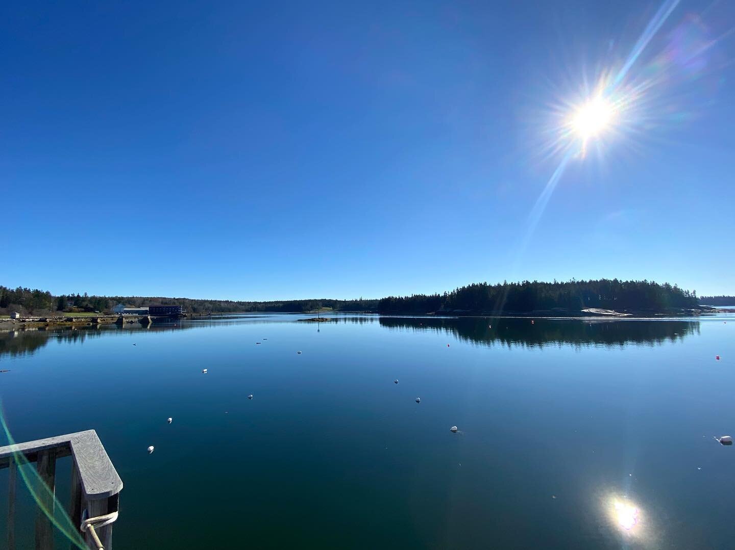 The last of the boats are away for winter. It&rsquo;s a warm and wonderful day in Center Harbor, but we have succumbed fully to &ldquo;orange mooring ball season&rdquo;.