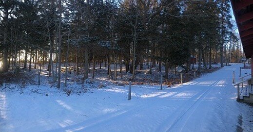 Some offseason tree work that addressed a few widowmakers has the woods to the west looking great.