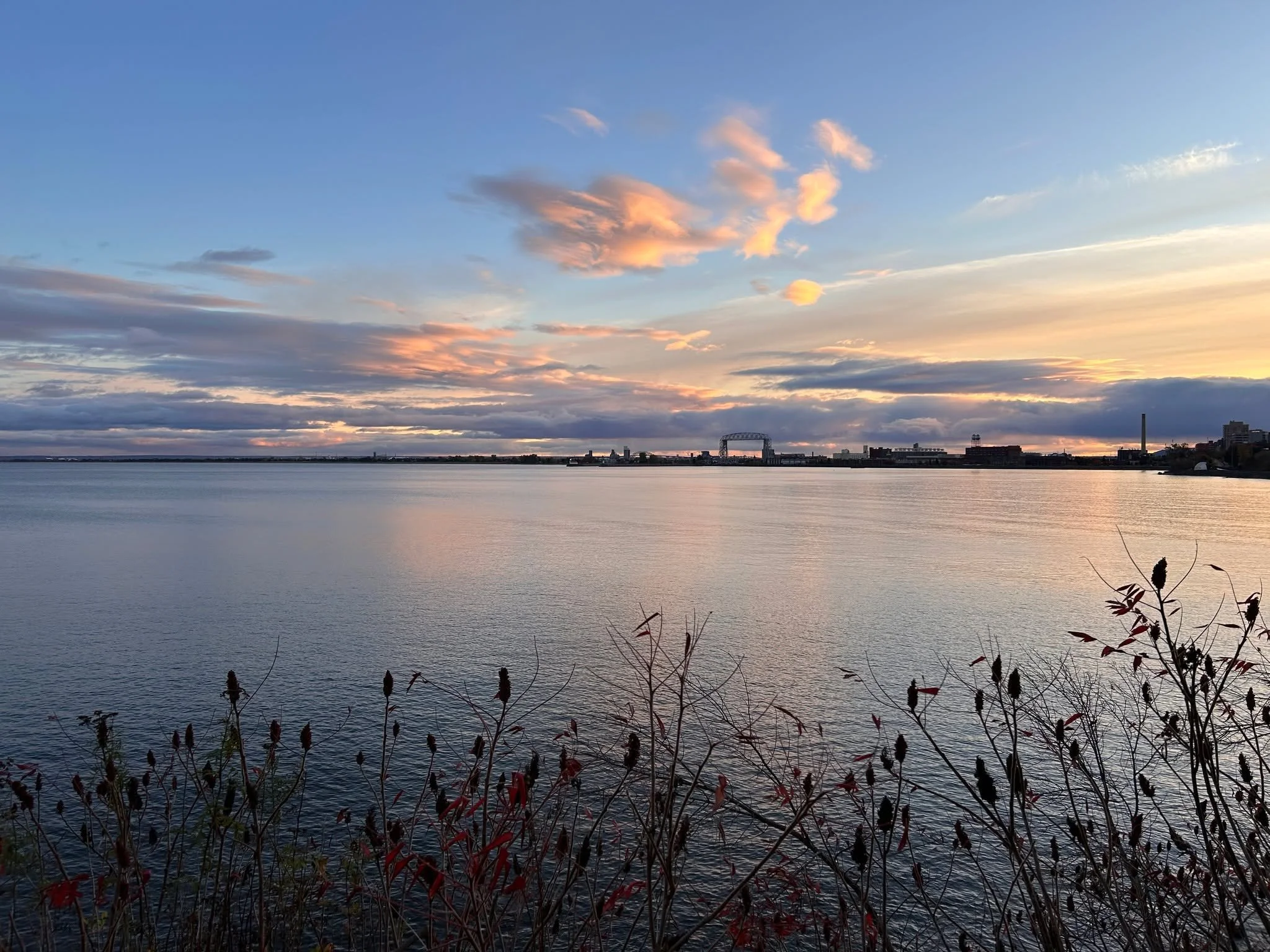 ✨✨Excerpts from the poem "Love" by Alex Dimitrov✨✨
I love that we can fail at love and continue to live.
I love writing this and not knowing what I'll love next.
I love looking at paintings and being reminded I am alive.
…
I lov