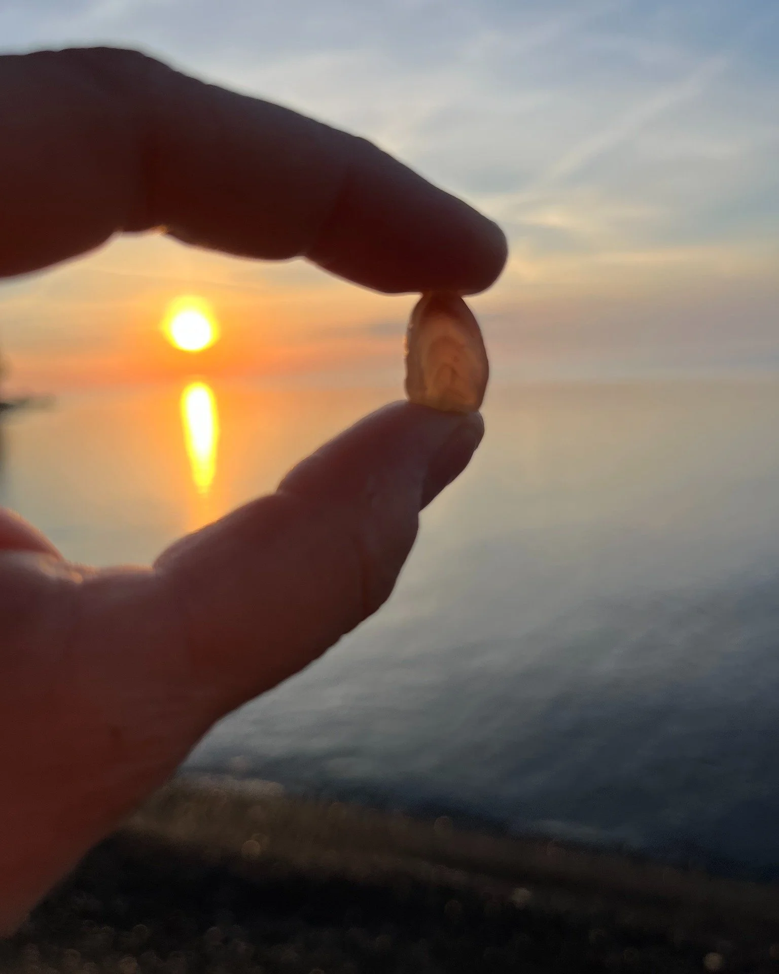 sending love to all beings
may all beings continue reclaiming their power
may all beings heal themselves and the world
may all beings be happy and free

-yung pueblo